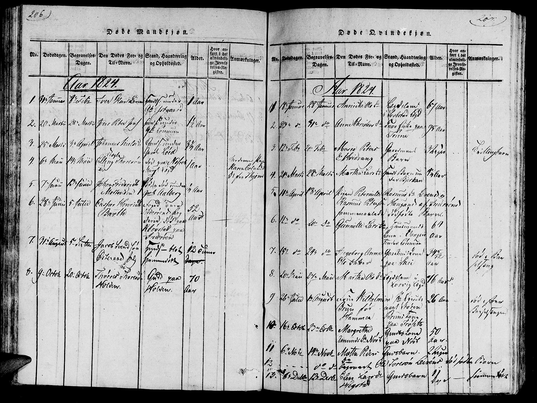 Ministerialprotokoller, klokkerbøker og fødselsregistre - Nord-Trøndelag, SAT/A-1458/735/L0333: Parish register (official) no. 735A04 /1, 1816-1824, p. 206-207