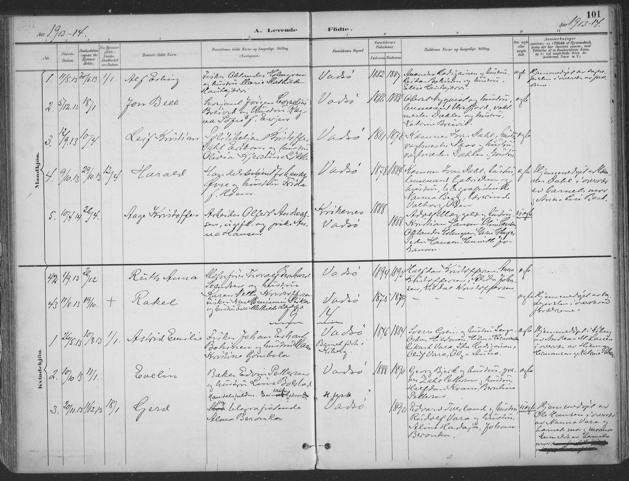 Vadsø sokneprestkontor, SATØ/S-1325/H/Ha/L0007kirke: Parish register (official) no. 7, 1896-1916, p. 101