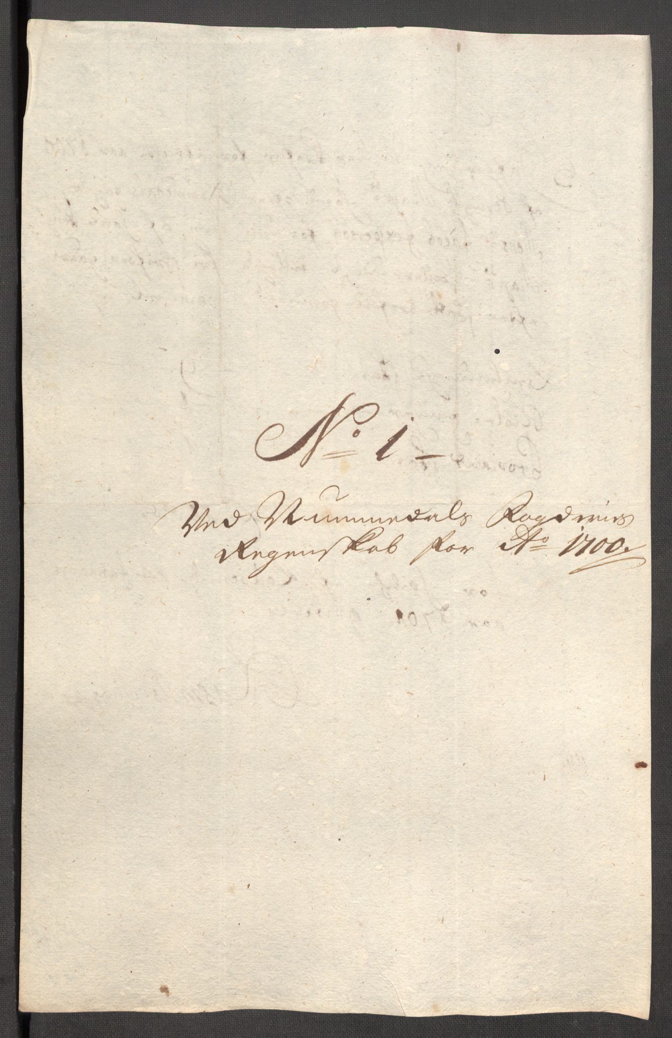 Rentekammeret inntil 1814, Reviderte regnskaper, Fogderegnskap, RA/EA-4092/R64/L4426: Fogderegnskap Namdal, 1699-1700, p. 291