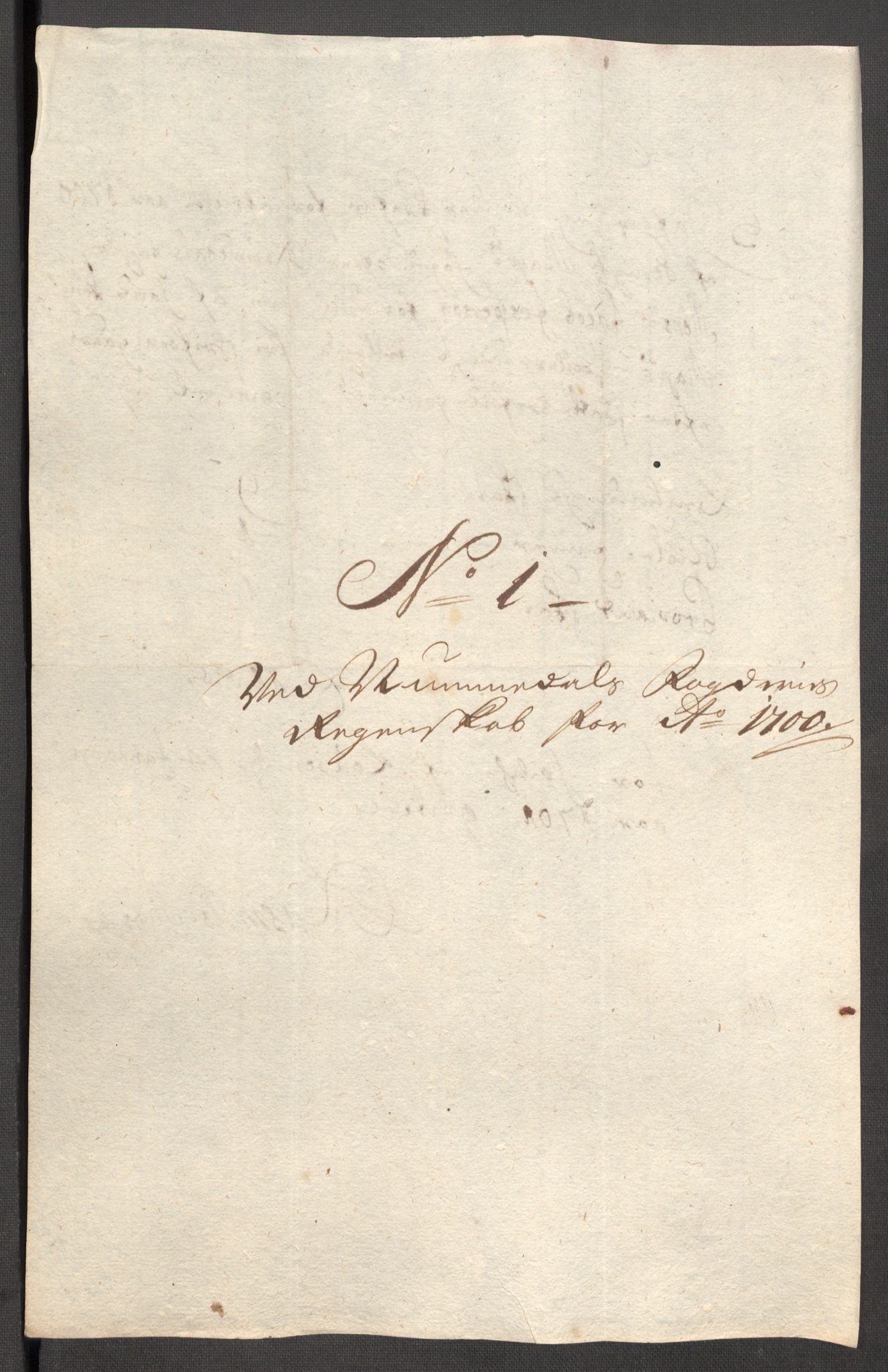 Rentekammeret inntil 1814, Reviderte regnskaper, Fogderegnskap, AV/RA-EA-4092/R64/L4426: Fogderegnskap Namdal, 1699-1700, p. 291