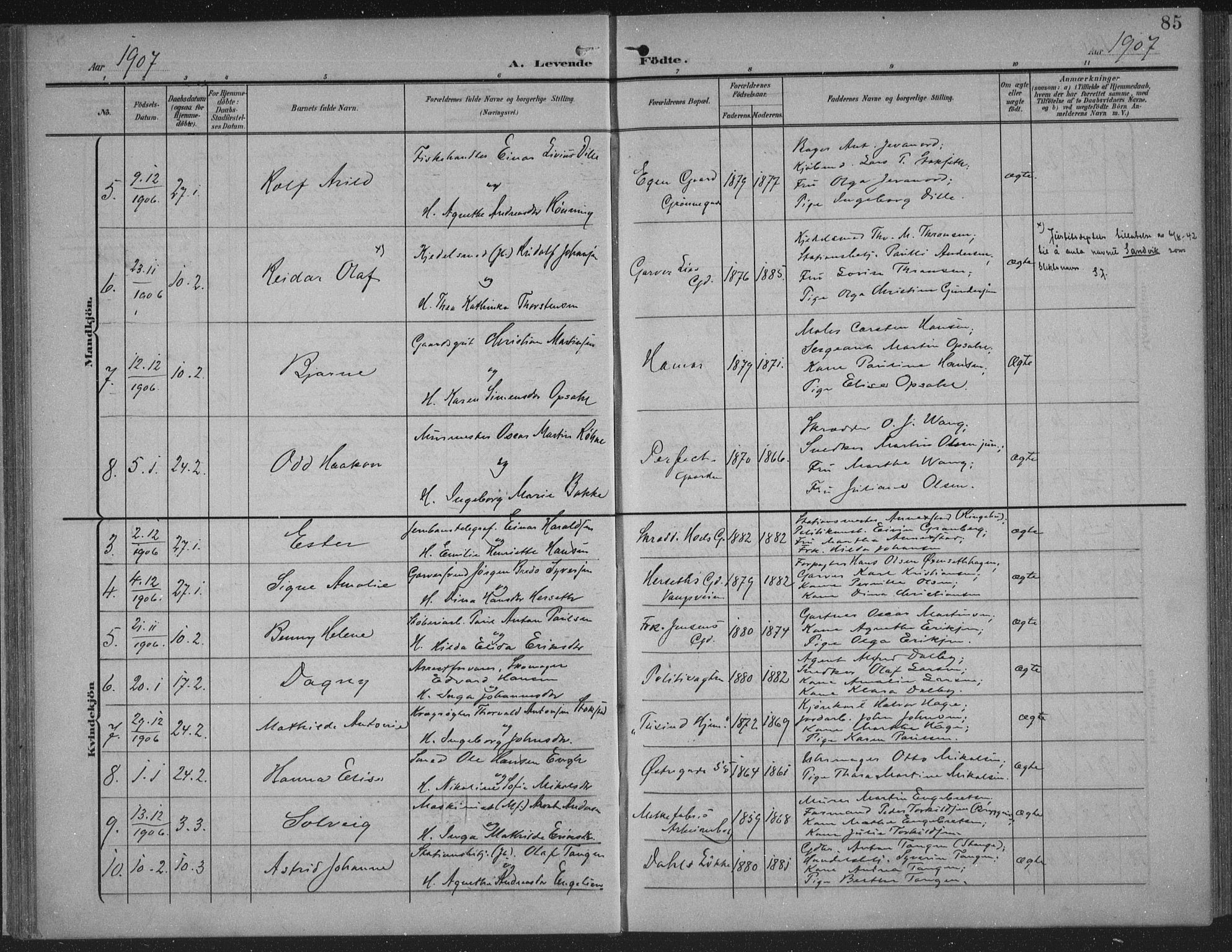 Hamar prestekontor, AV/SAH-DOMPH-002/H/Ha/Haa/L0001: Parish register (official) no. 1, 1900-1914, p. 85