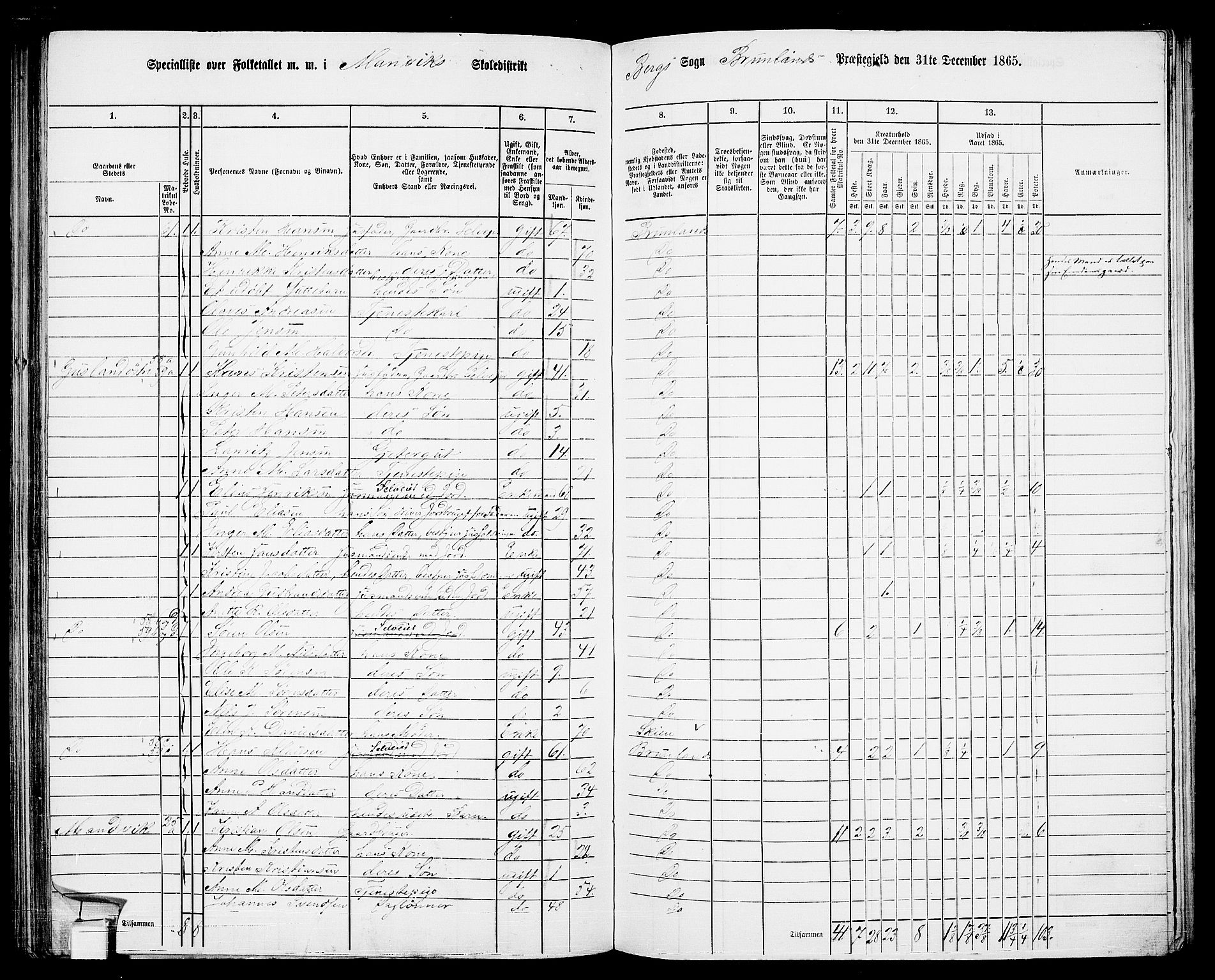 RA, 1865 census for Brunlanes, 1865, p. 135