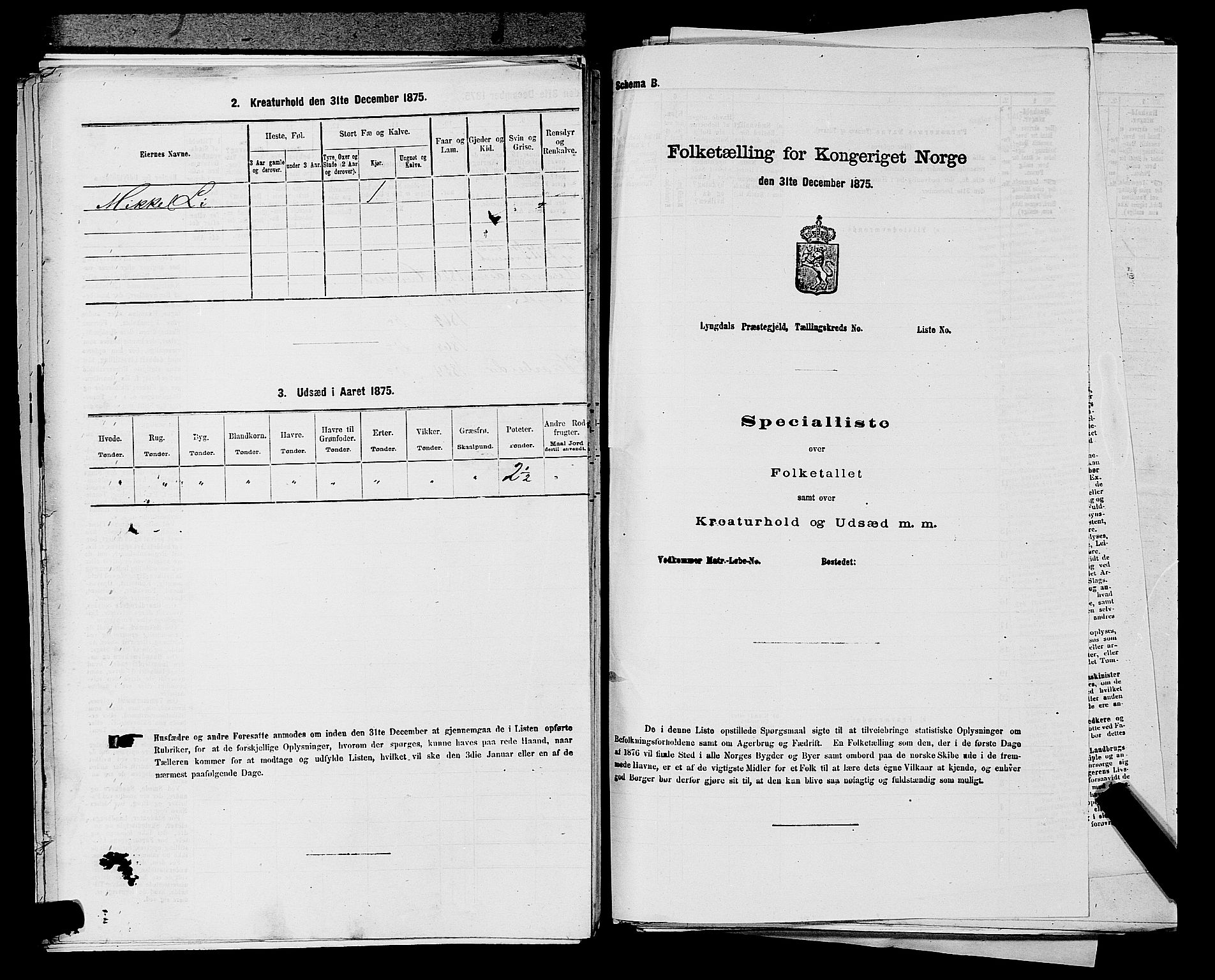 SAKO, 1875 census for 0829P Kviteseid, 1875, p. 379