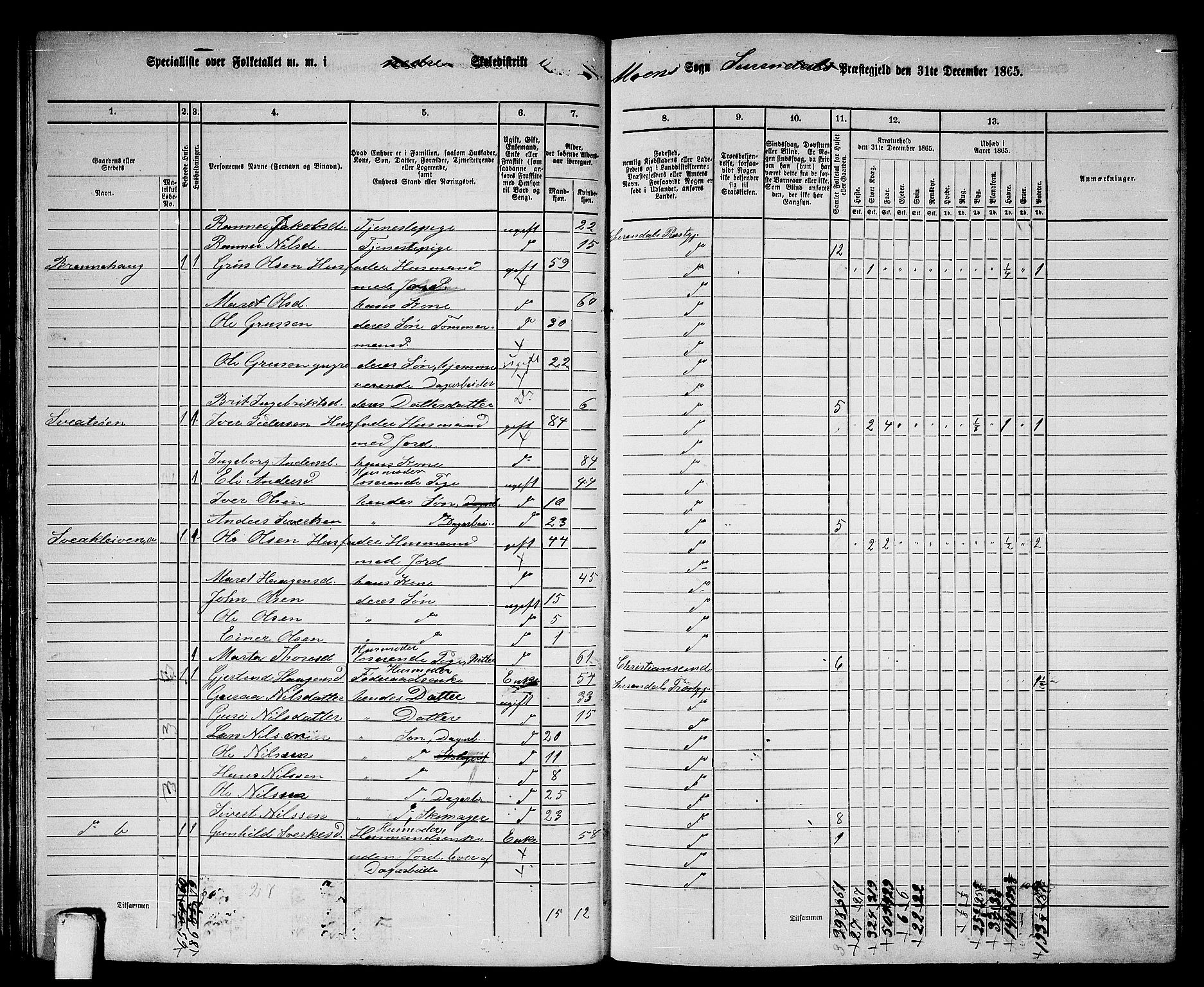 RA, 1865 census for Surnadal, 1865, p. 49