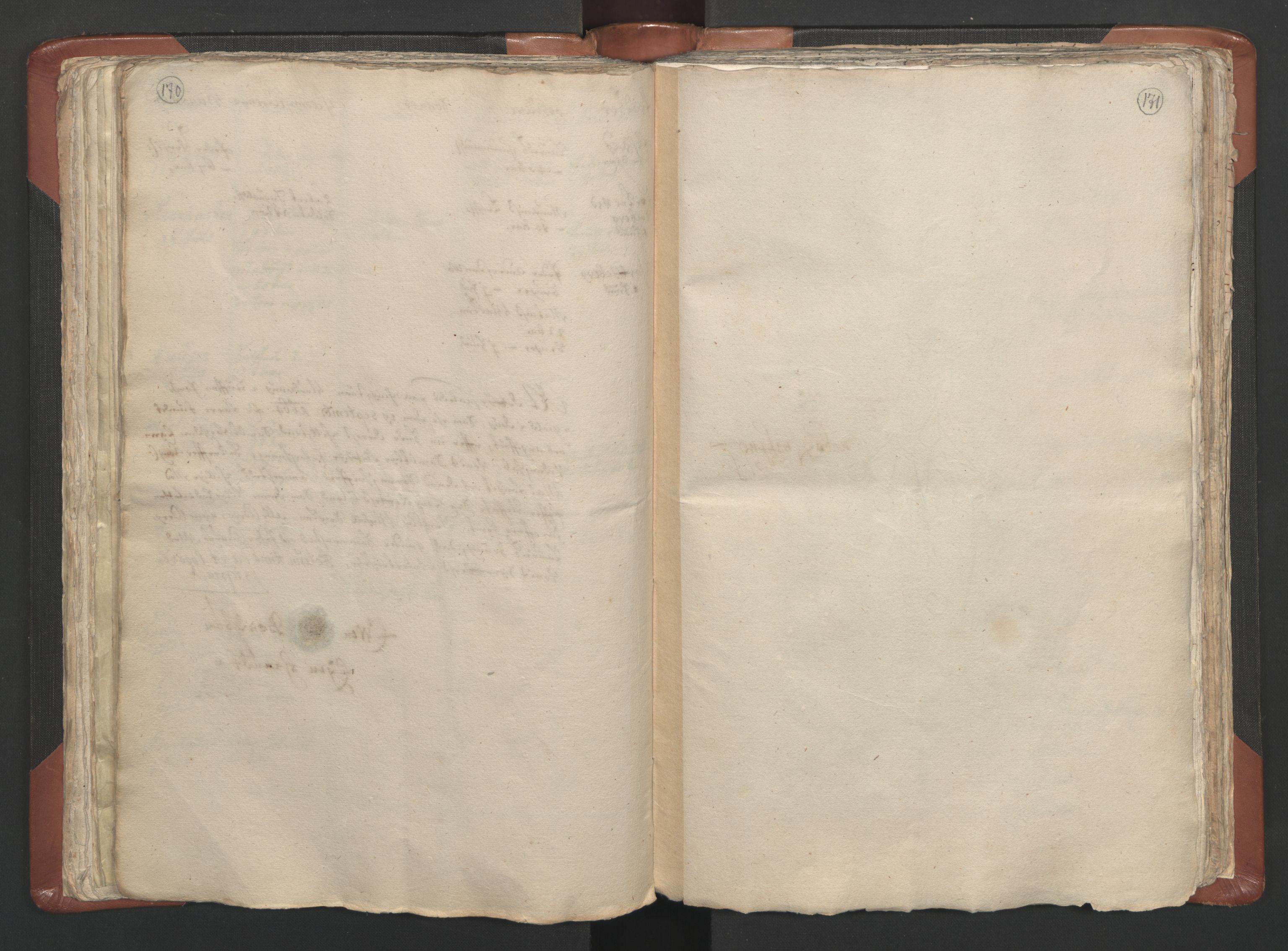 RA, Vicar's Census 1664-1666, no. 5: Hedmark deanery, 1664-1666, p. 170-171
