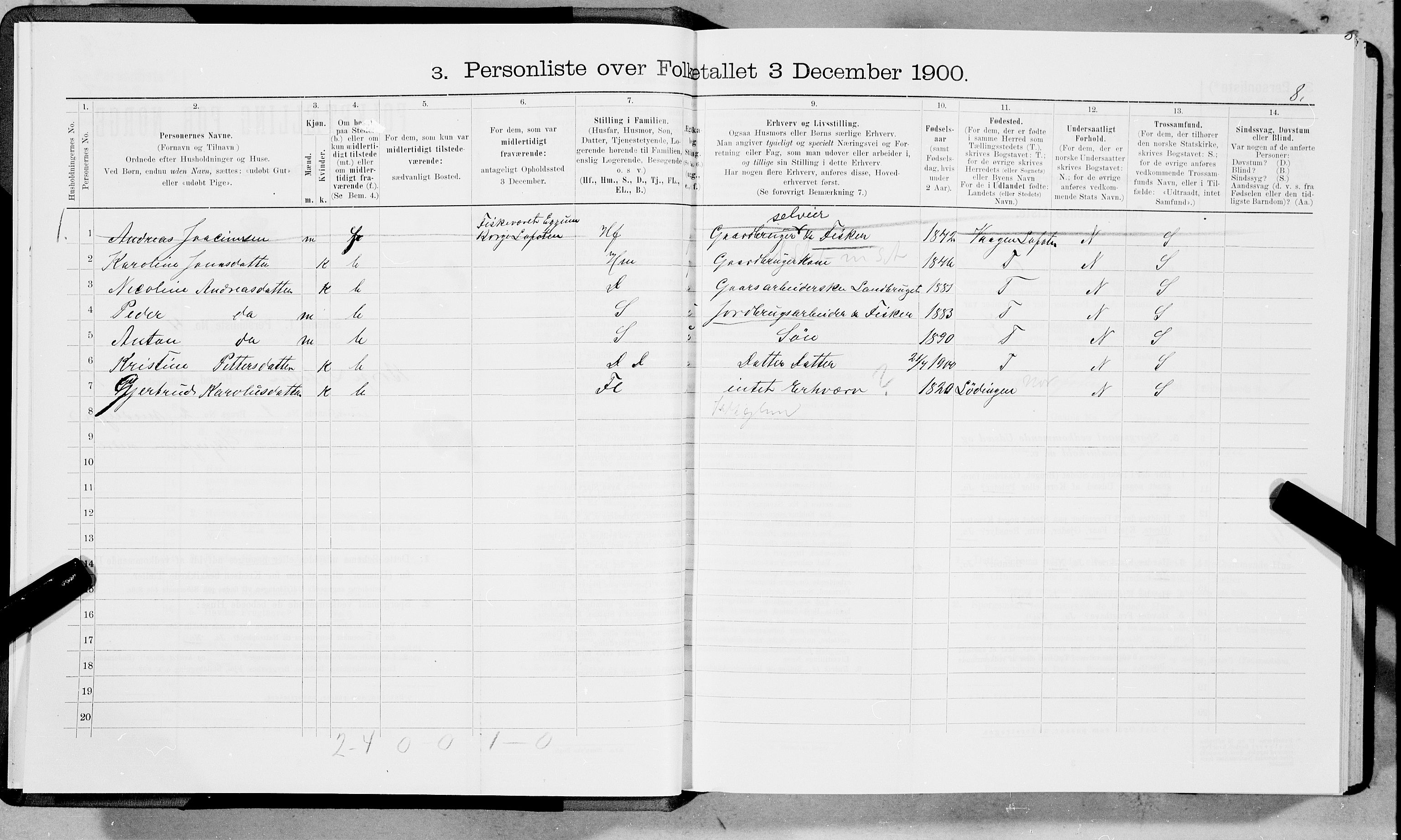 SAT, 1900 census for Borge, 1900, p. 37