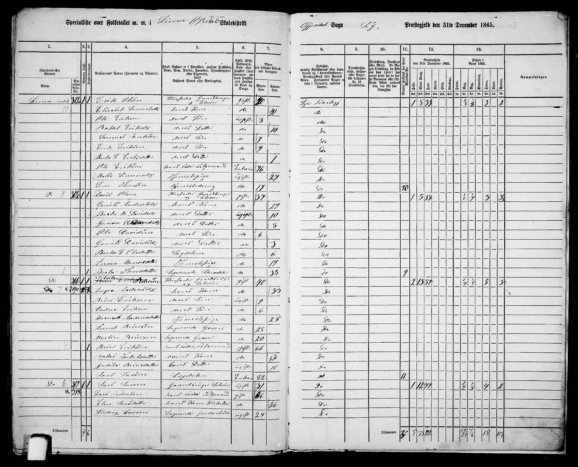 RA, 1865 census for Lye, 1865, p. 152