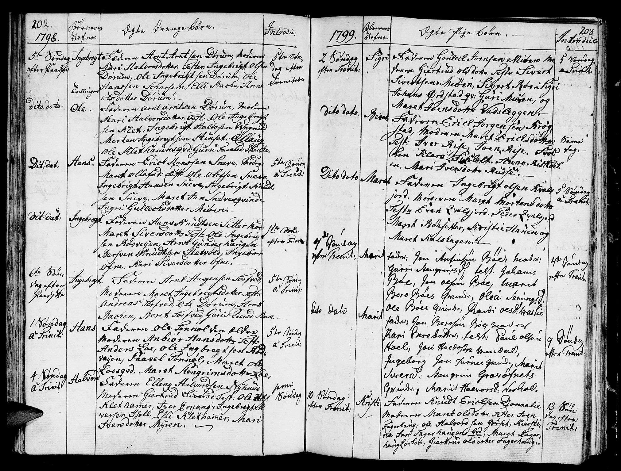 Ministerialprotokoller, klokkerbøker og fødselsregistre - Sør-Trøndelag, SAT/A-1456/678/L0893: Parish register (official) no. 678A03, 1792-1805, p. 202-203