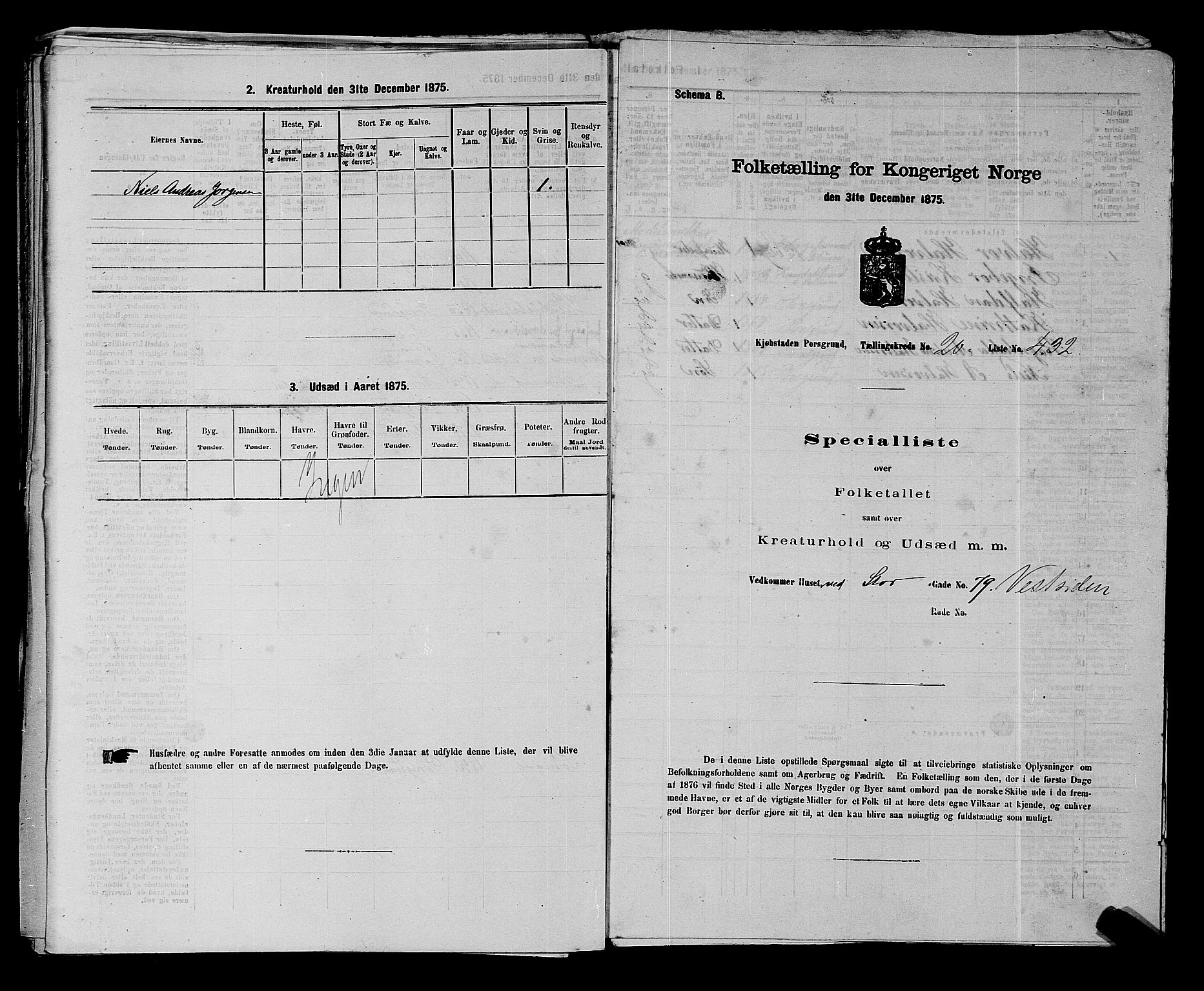 SAKO, 1875 census for 0805P Porsgrunn, 1875, p. 969