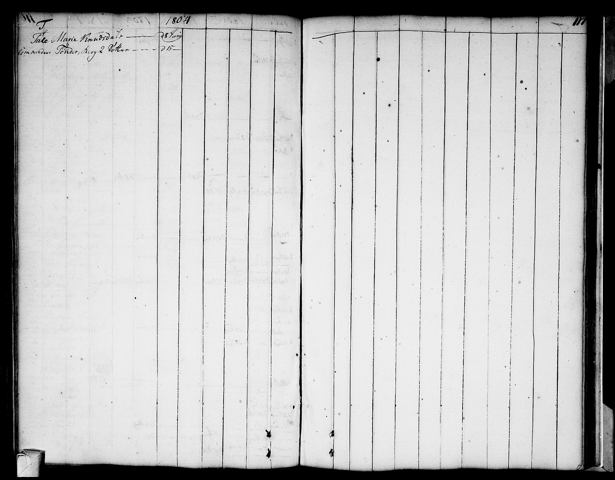 Strømsø kirkebøker, AV/SAKO-A-246/F/Fa/L0002: Parish register (official) no. I 2, 1726-1727, p. 117