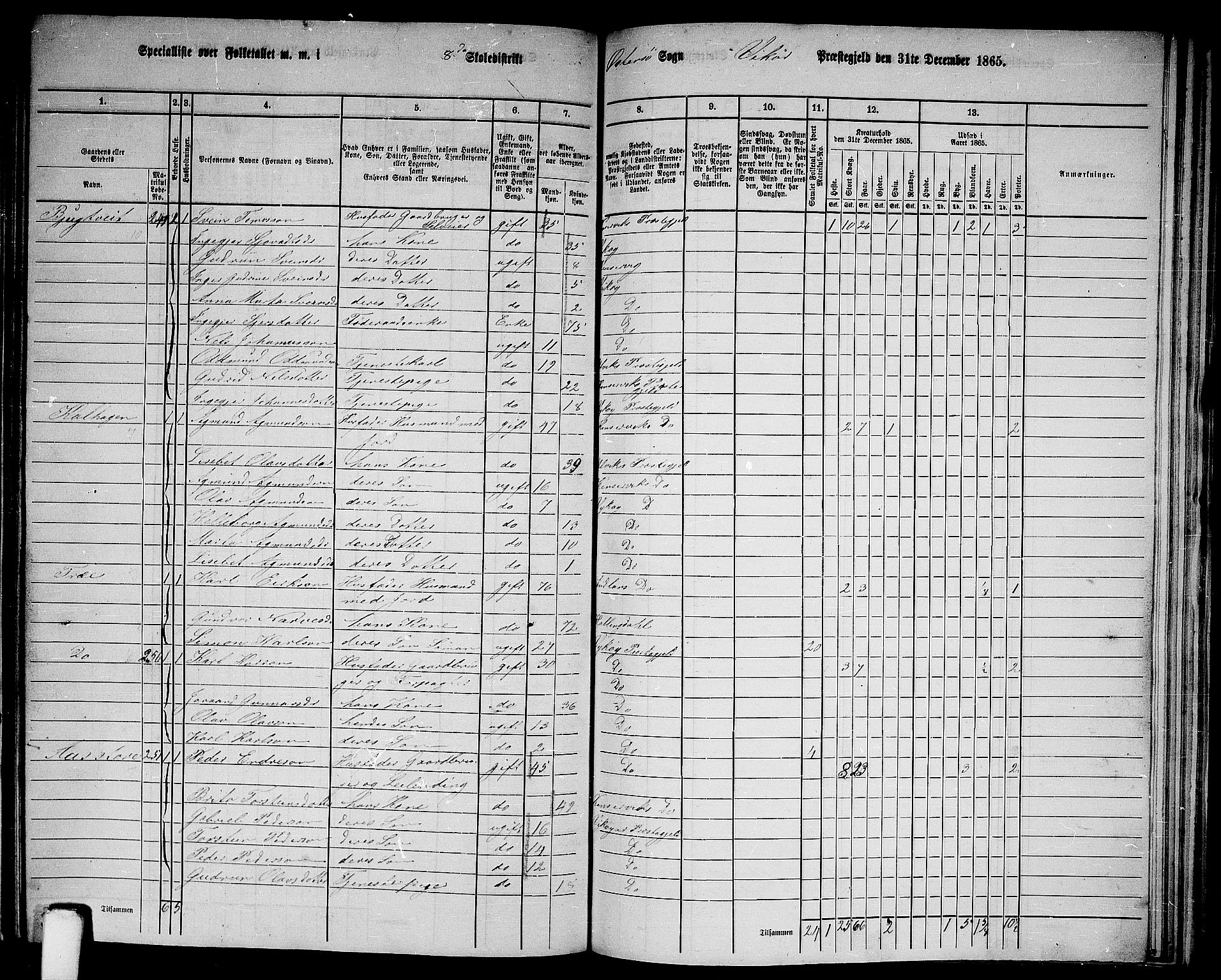 RA, 1865 census for Vikør, 1865, p. 120