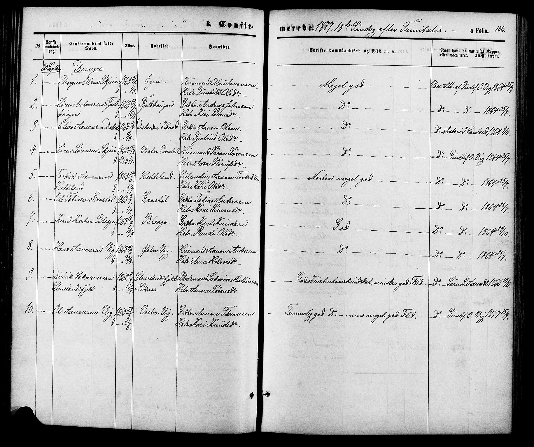 Hægebostad sokneprestkontor, SAK/1111-0024/F/Fa/Fab/L0003: Parish register (official) no. A 3, 1872-1886, p. 106