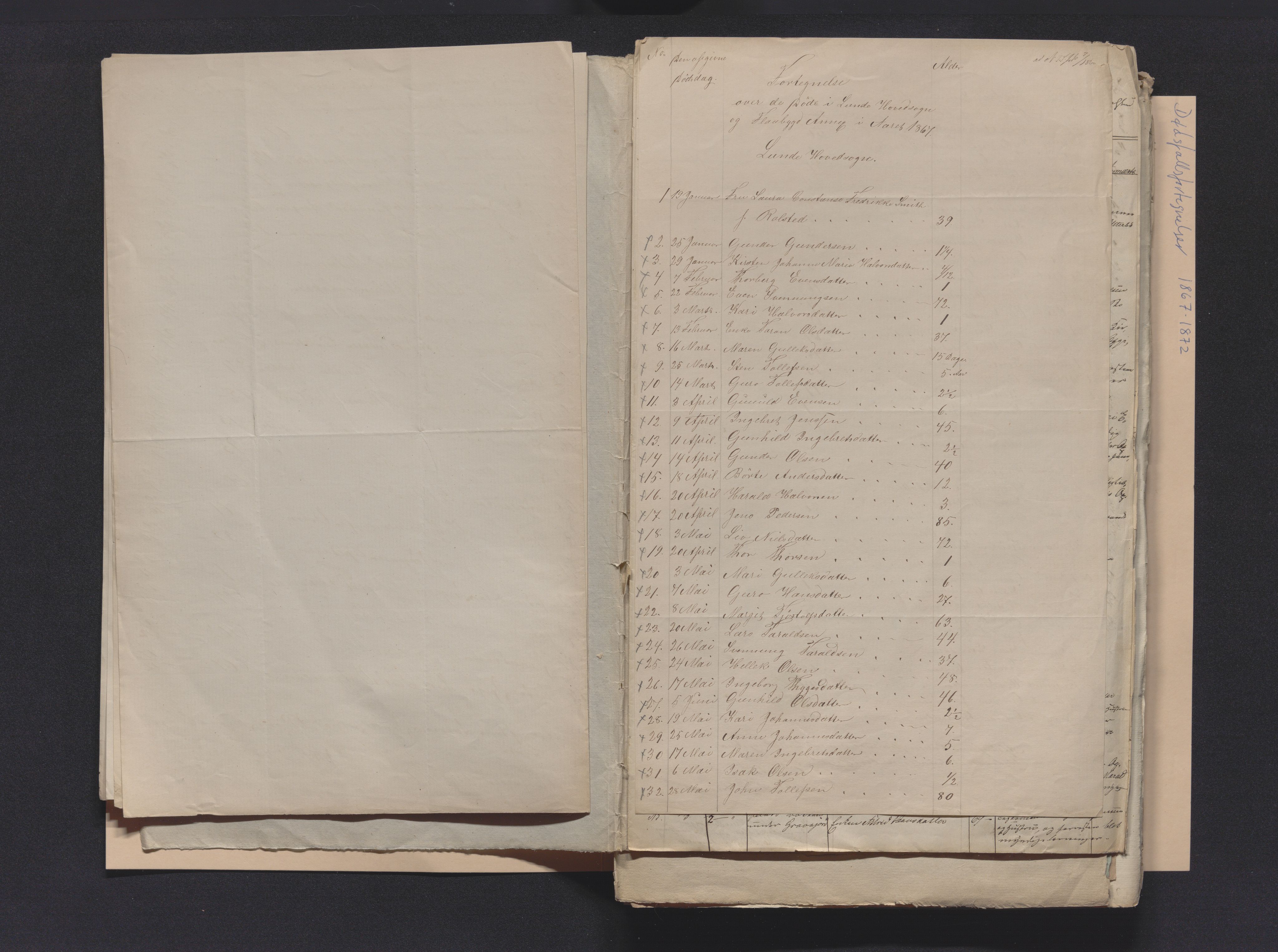 Nedre Telemark sorenskriveri, AV/SAKO-A-135/H/Ha/Hab/L0001: Dødsfallsfortegnelser
, 1867-1886, p. 11