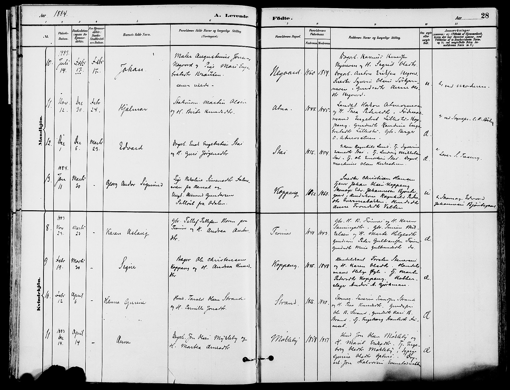 Stor-Elvdal prestekontor, AV/SAH-PREST-052/H/Ha/Haa/L0002: Parish register (official) no. 2, 1882-1907, p. 28