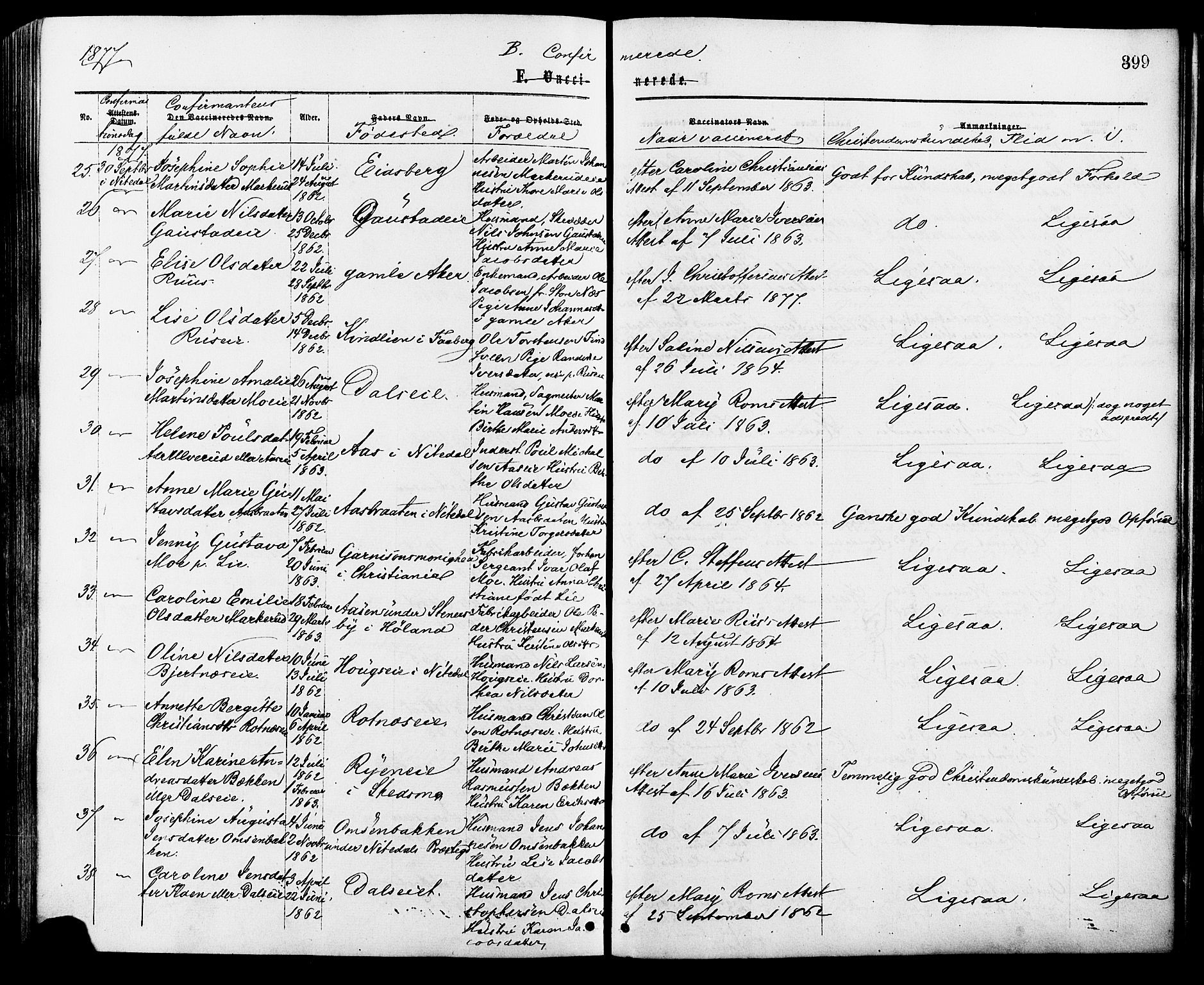 Nittedal prestekontor Kirkebøker, AV/SAO-A-10365a/F/Fa/L0006: Parish register (official) no. I 6, 1863-1878, p. 399