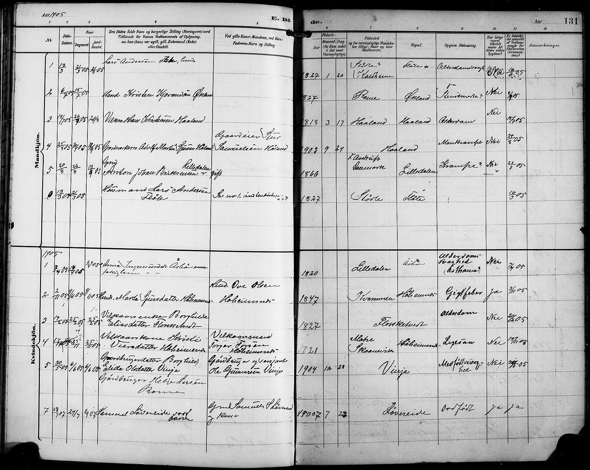 Etne sokneprestembete, AV/SAB-A-75001/H/Hab: Parish register (copy) no. C 5, 1896-1920, p. 131