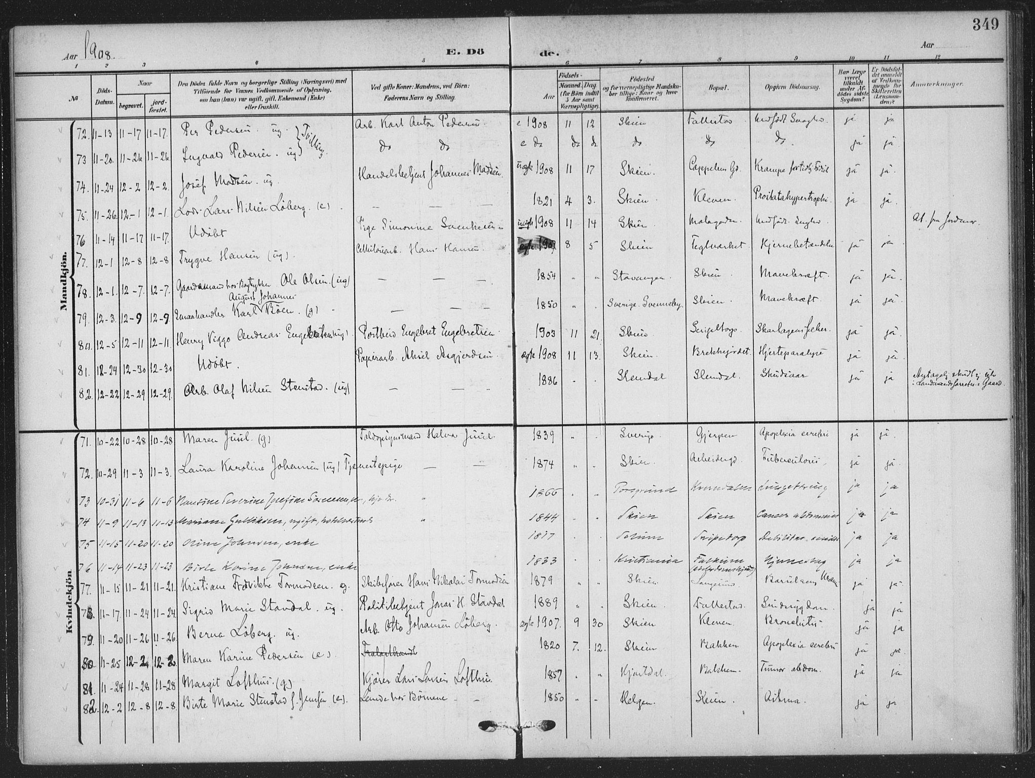 Skien kirkebøker, AV/SAKO-A-302/F/Fa/L0012: Parish register (official) no. 12, 1908-1914, p. 349