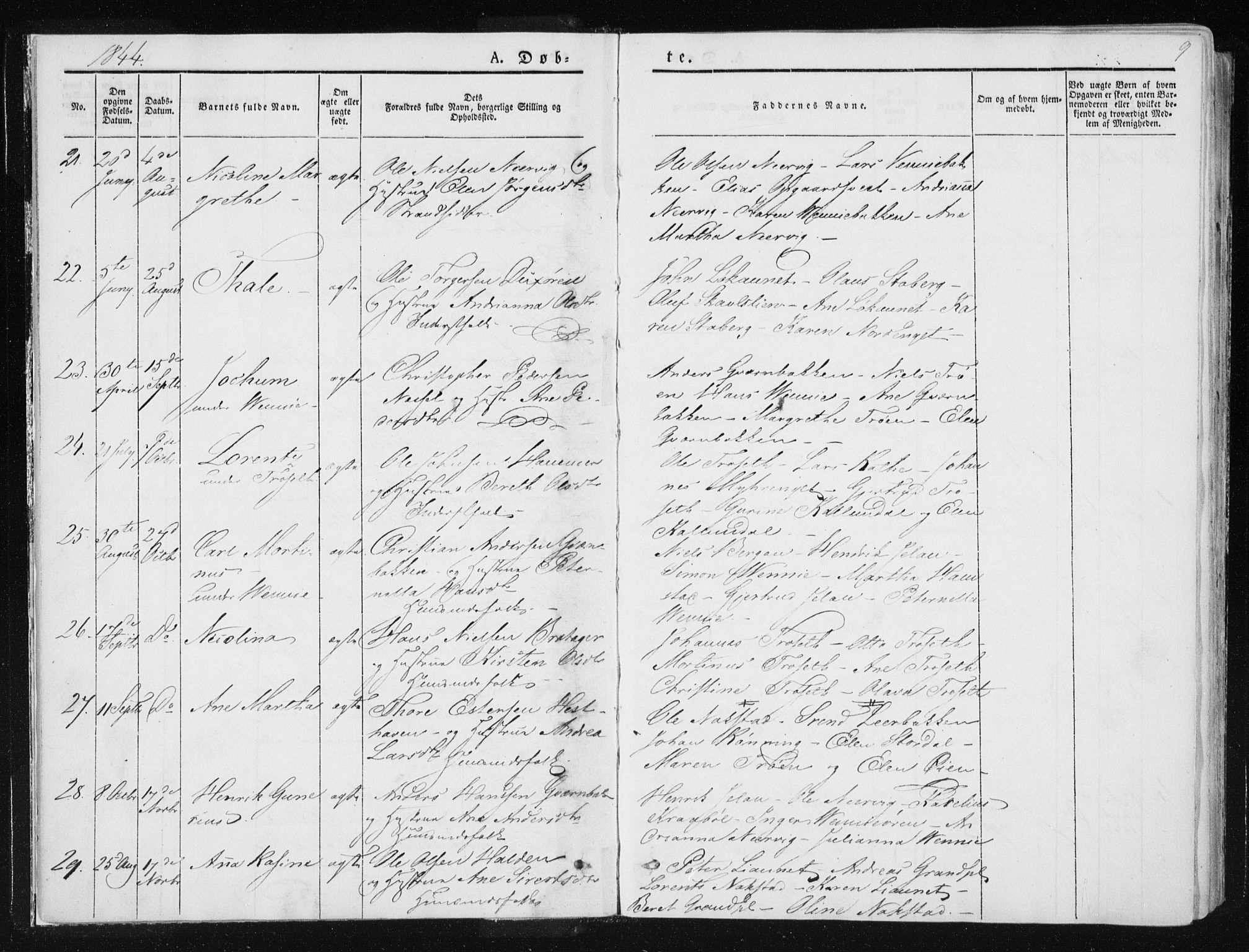 Ministerialprotokoller, klokkerbøker og fødselsregistre - Nord-Trøndelag, AV/SAT-A-1458/733/L0323: Parish register (official) no. 733A02, 1843-1870, p. 9