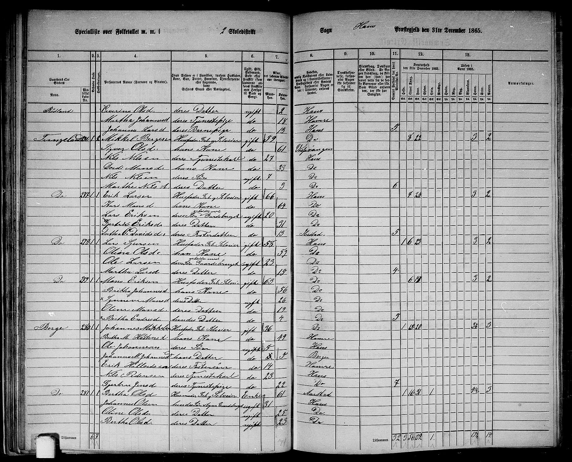 RA, 1865 census for Haus, 1865, p. 48