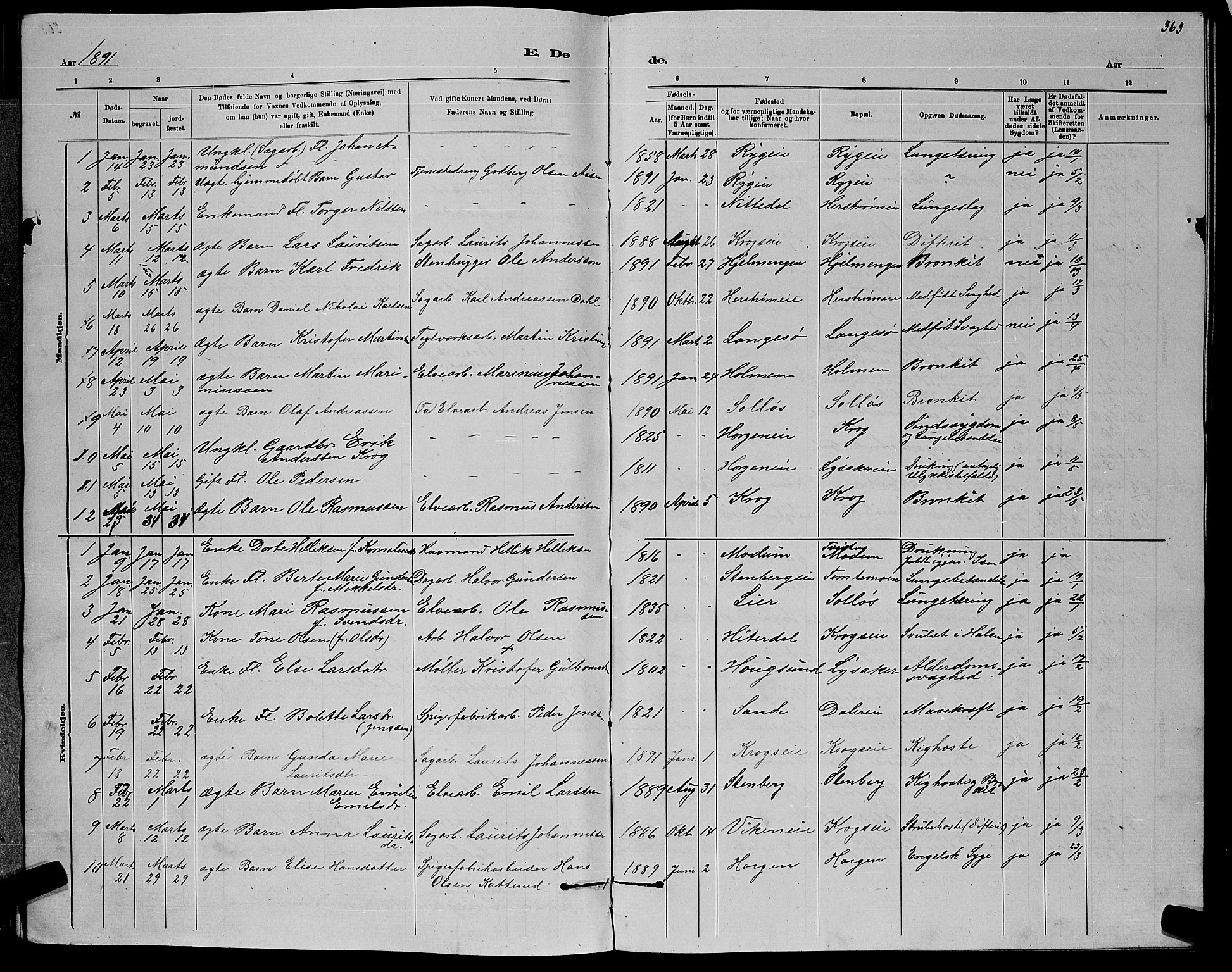 Nedre Eiker kirkebøker, AV/SAKO-A-612/G/Ga/L0002: Parish register (copy) no. 2, 1880-1896, p. 363