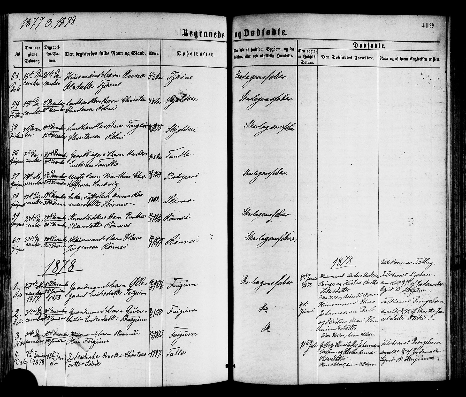 Luster sokneprestembete, SAB/A-81101/H/Haa/Haaa/L0010: Parish register (official) no. A 10, 1871-1886, p. 419