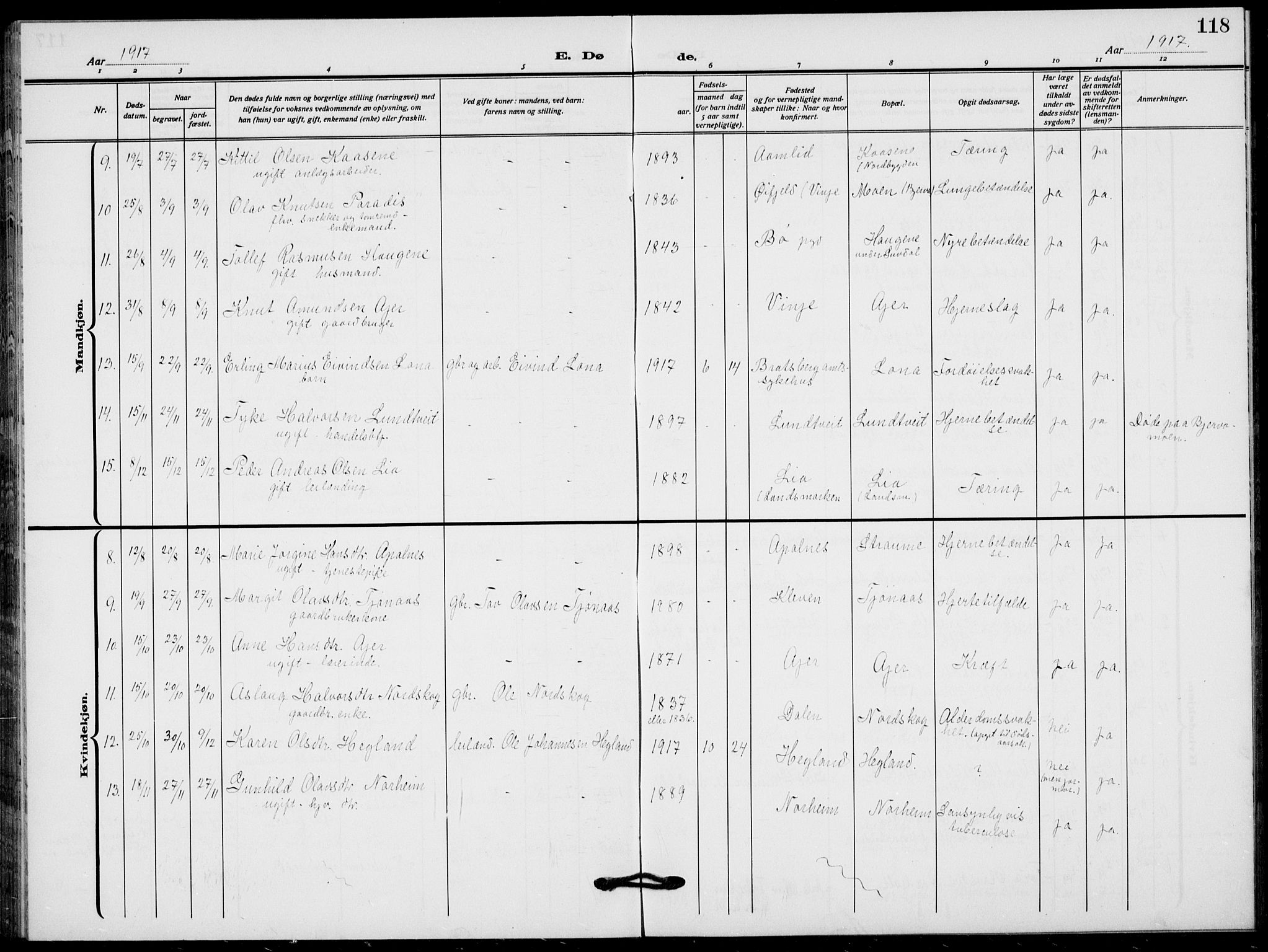 Lunde kirkebøker, SAKO/A-282/F/Fa/L0005: Parish register (official) no. I 5, 1914-1922, p. 118