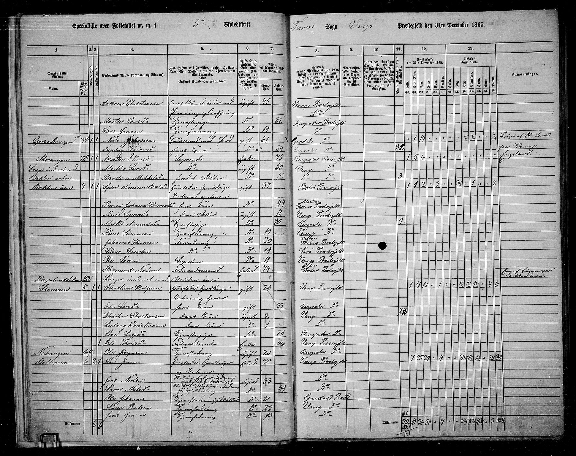 RA, 1865 census for Vang/Vang og Furnes, 1865, p. 19