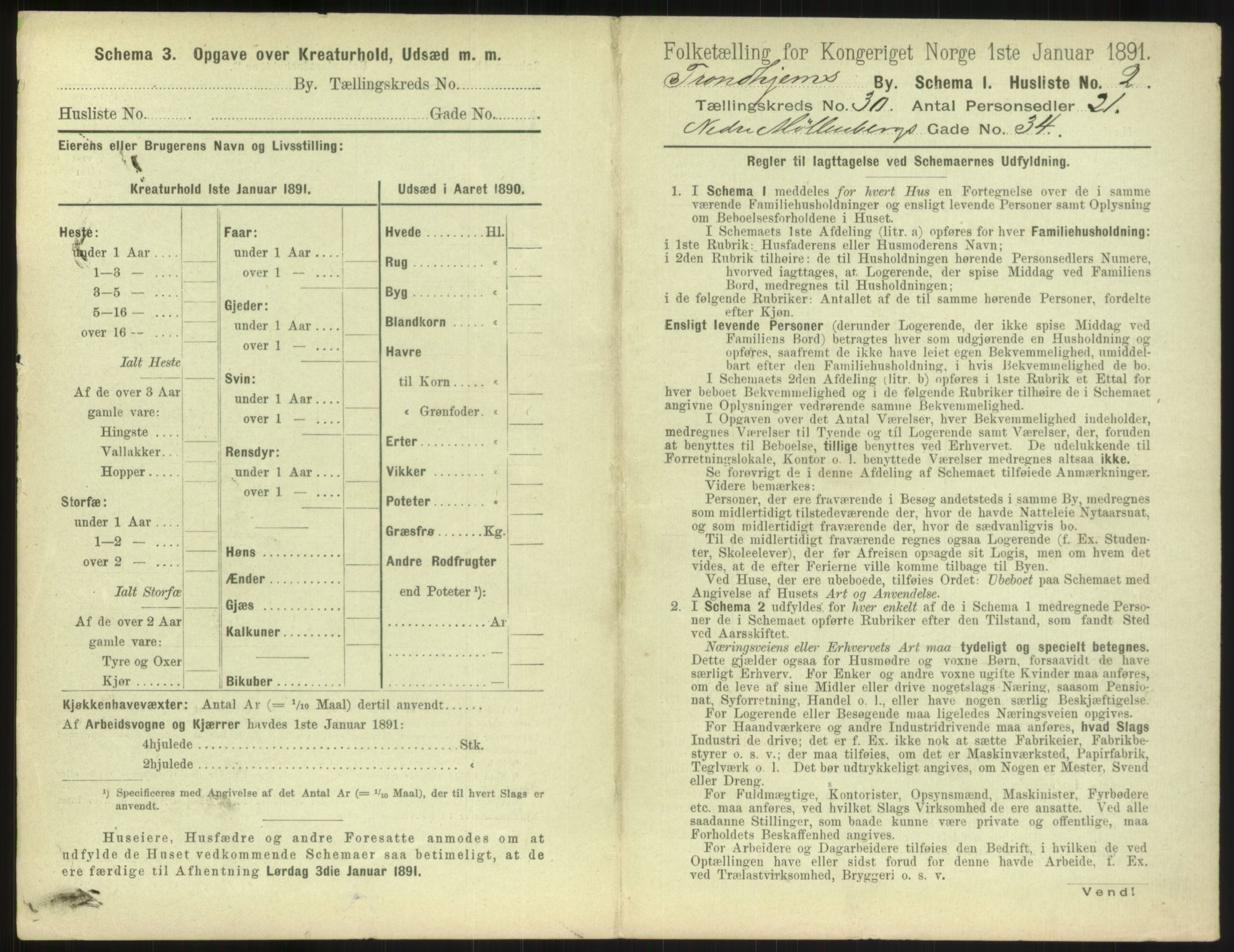 RA, 1891 census for 1601 Trondheim, 1891, p. 2196