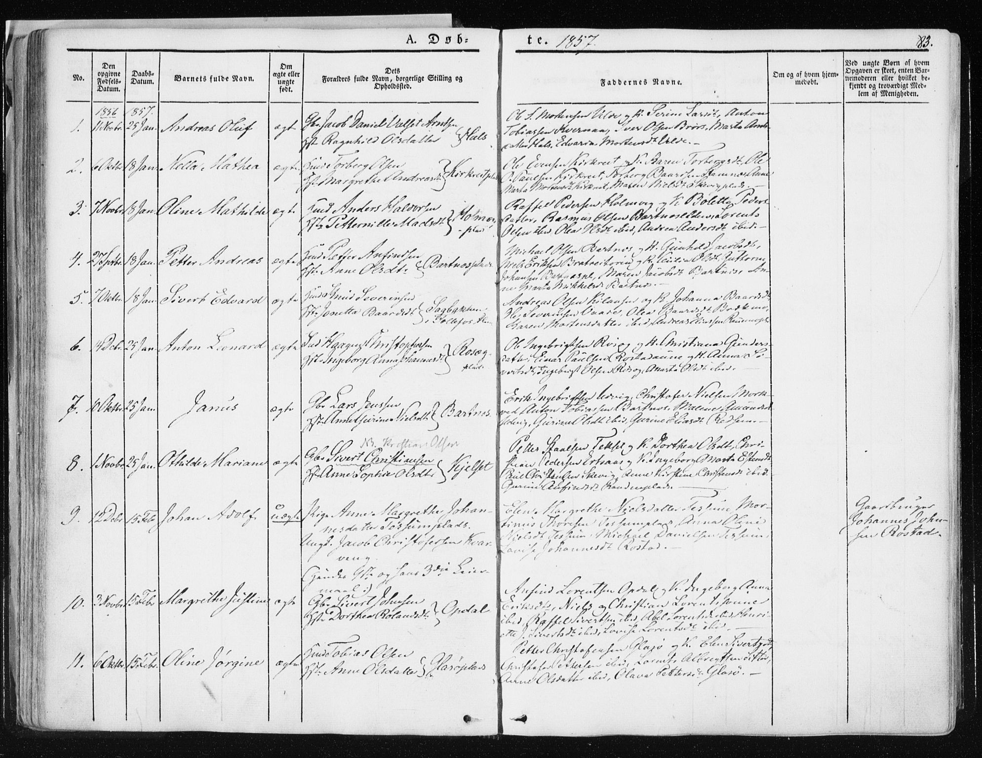 Ministerialprotokoller, klokkerbøker og fødselsregistre - Nord-Trøndelag, SAT/A-1458/741/L0393: Parish register (official) no. 741A07, 1849-1863, p. 83