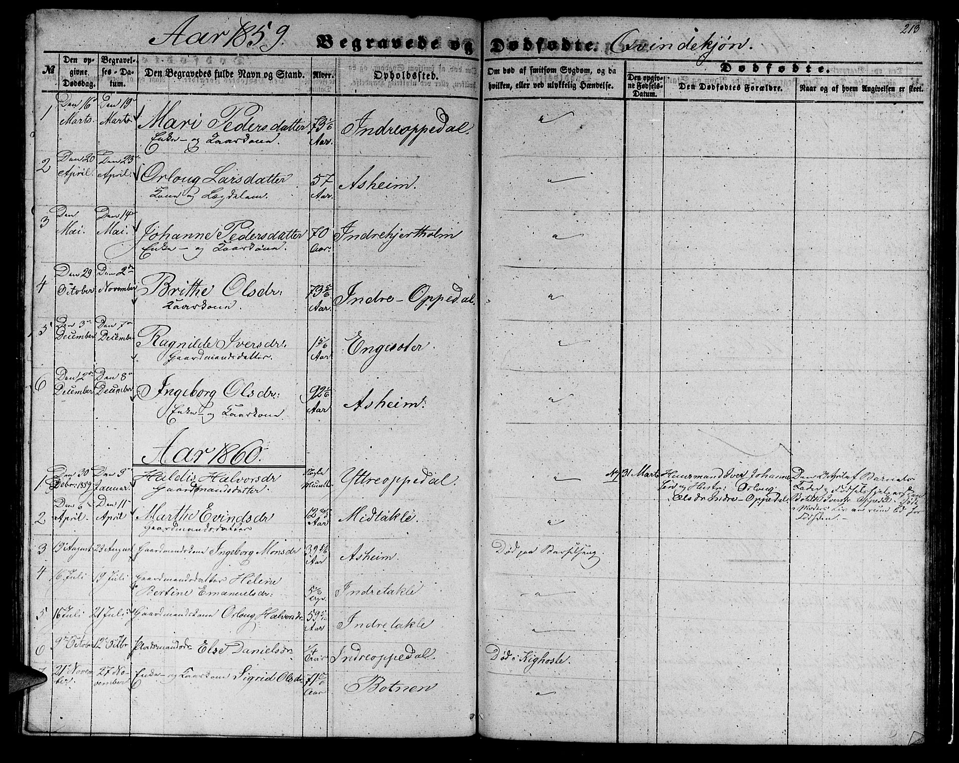 Gulen sokneprestembete, SAB/A-80201/H/Hab/Habc/L0001: Parish register (copy) no. C 1, 1853-1880, p. 213