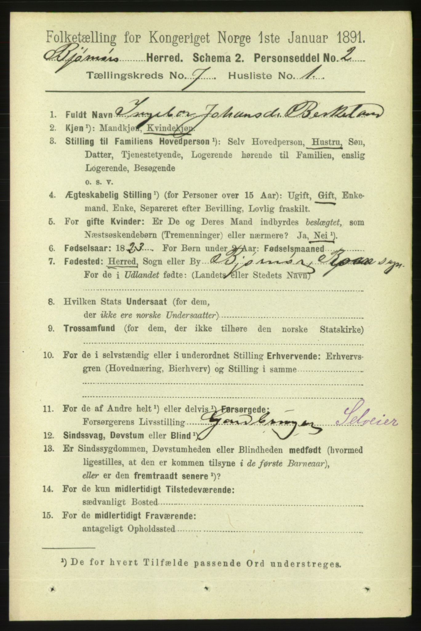 RA, 1891 census for 1632 Bjørnør, 1891, p. 2985