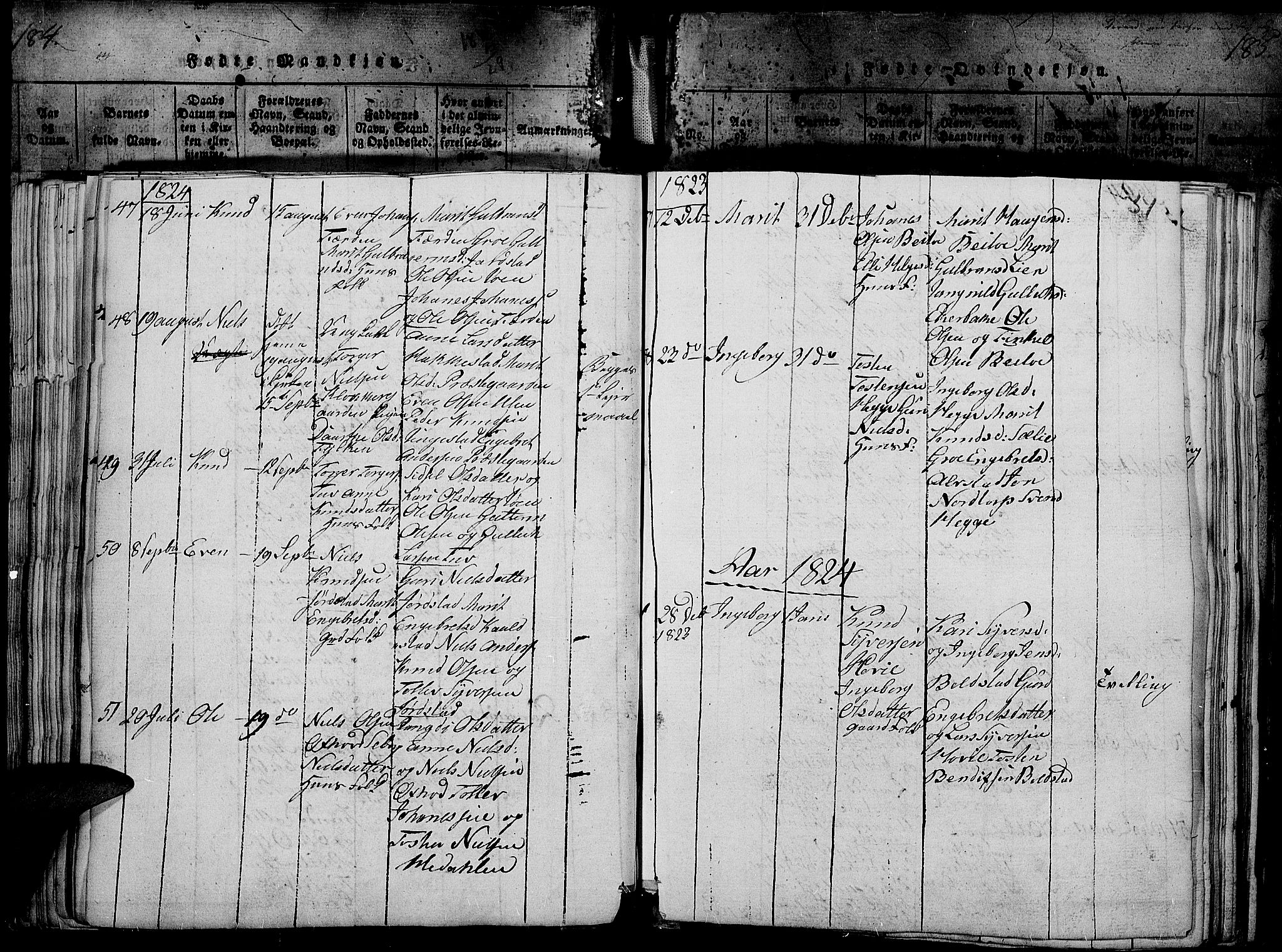 Slidre prestekontor, SAH/PREST-134/H/Ha/Haa/L0002: Parish register (official) no. 2, 1814-1830, p. 185z
