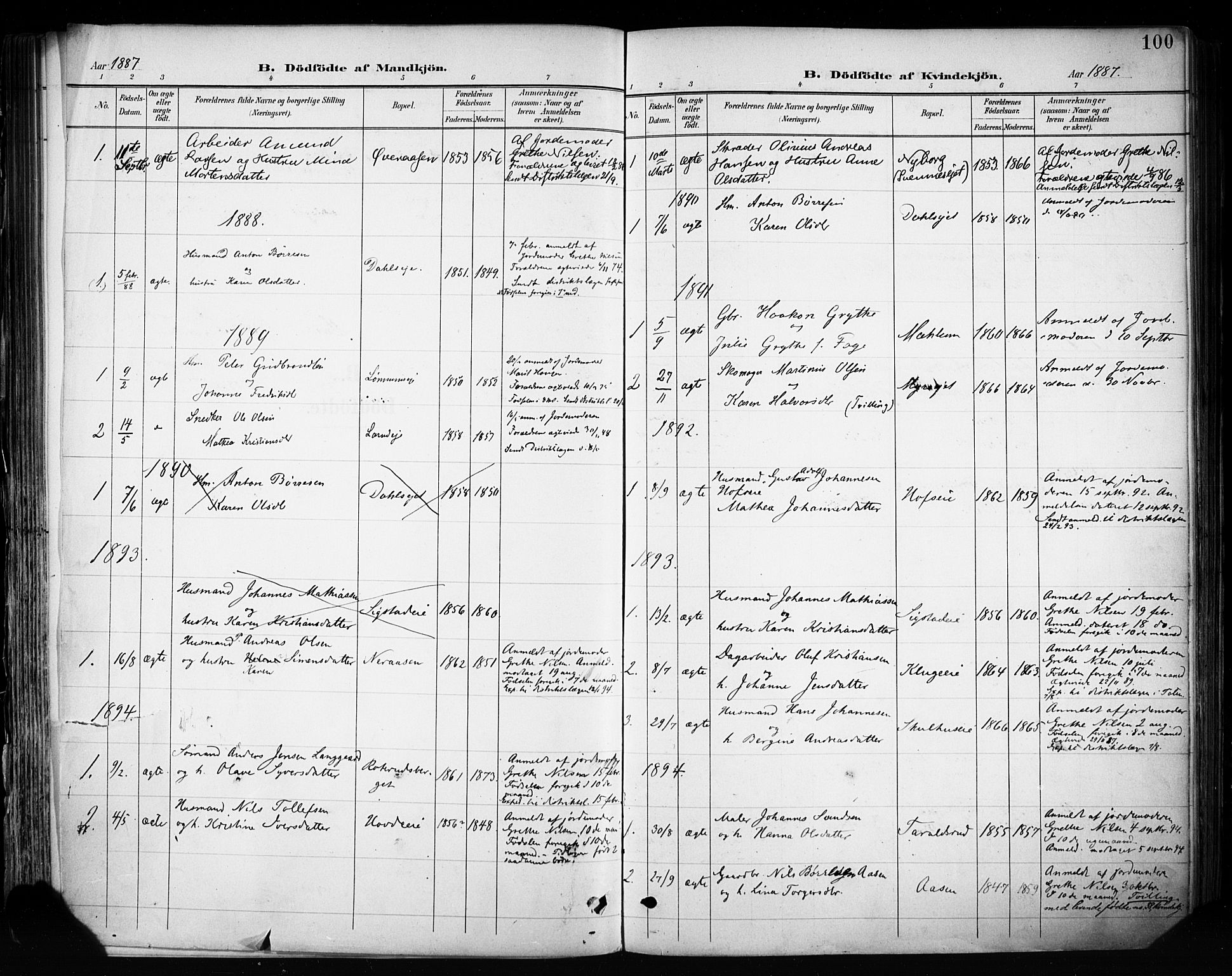 Biri prestekontor, SAH/PREST-096/H/Ha/Haa/L0009: Parish register (official) no. 9, 1887-1900, p. 100