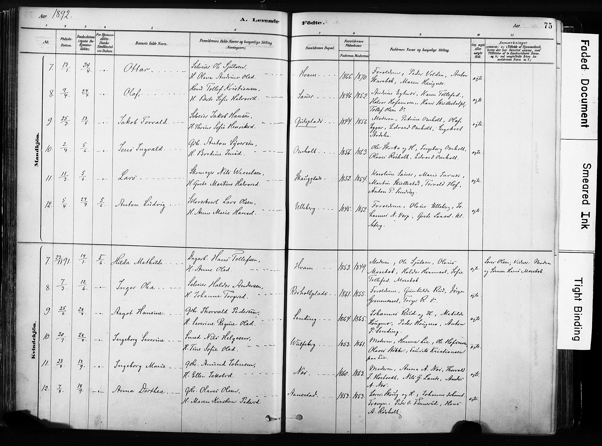 Sandsvær kirkebøker, AV/SAKO-A-244/F/Fb/L0001: Parish register (official) no. II 1, 1878-1906, p. 75