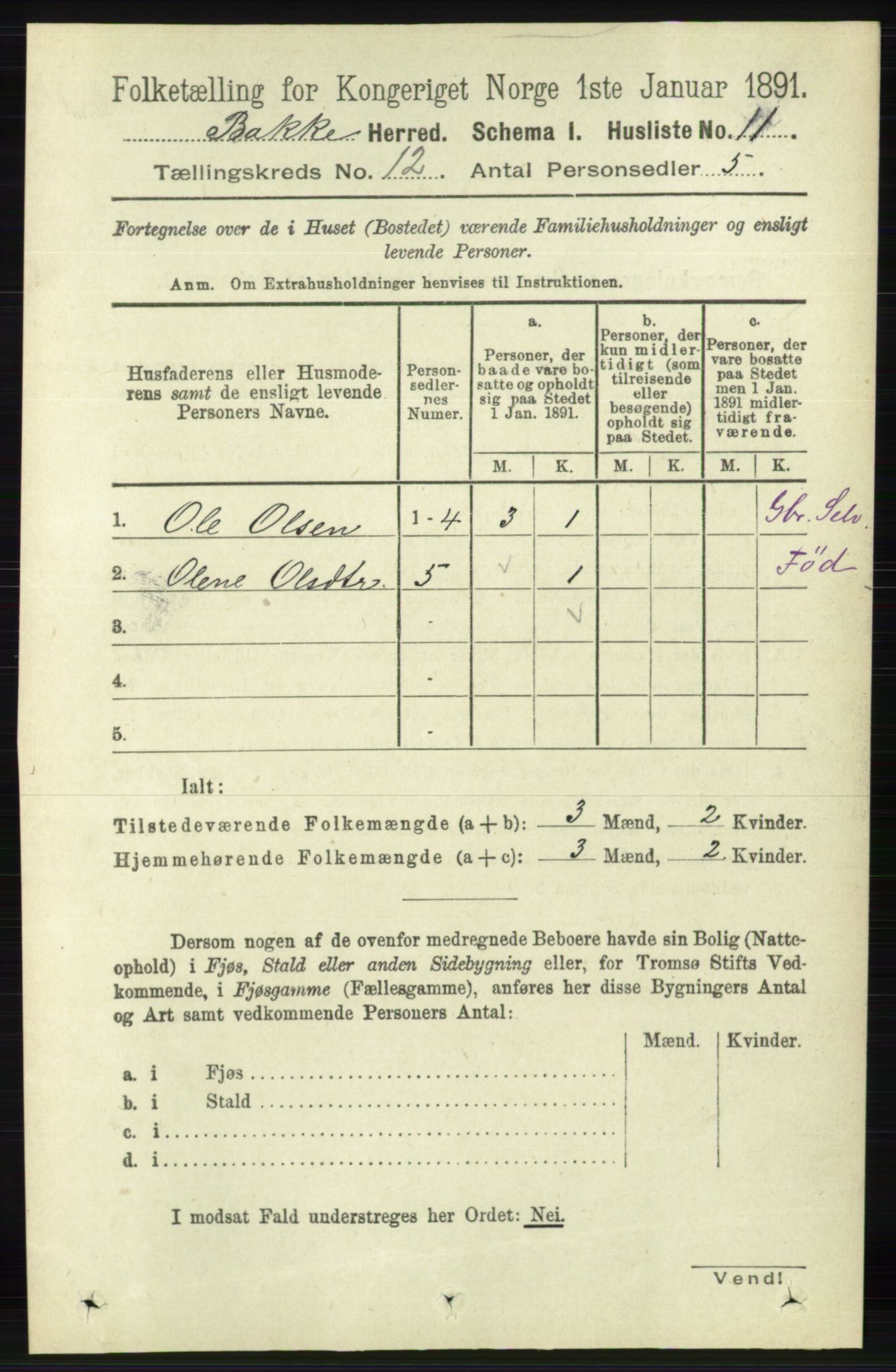 RA, 1891 census for 1045 Bakke, 1891, p. 2389