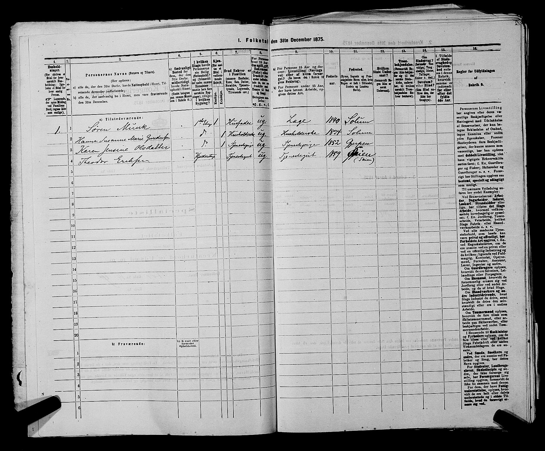 SAKO, 1875 census for 0805P Porsgrunn, 1875, p. 325