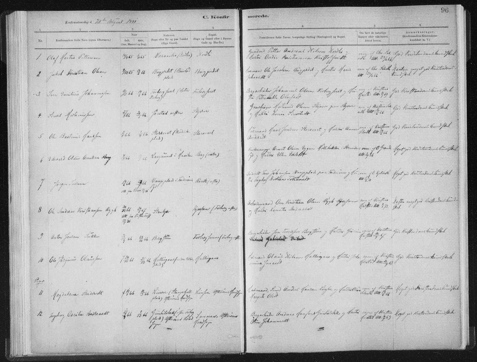 Ministerialprotokoller, klokkerbøker og fødselsregistre - Nord-Trøndelag, SAT/A-1458/722/L0220: Parish register (official) no. 722A07, 1881-1908, p. 96
