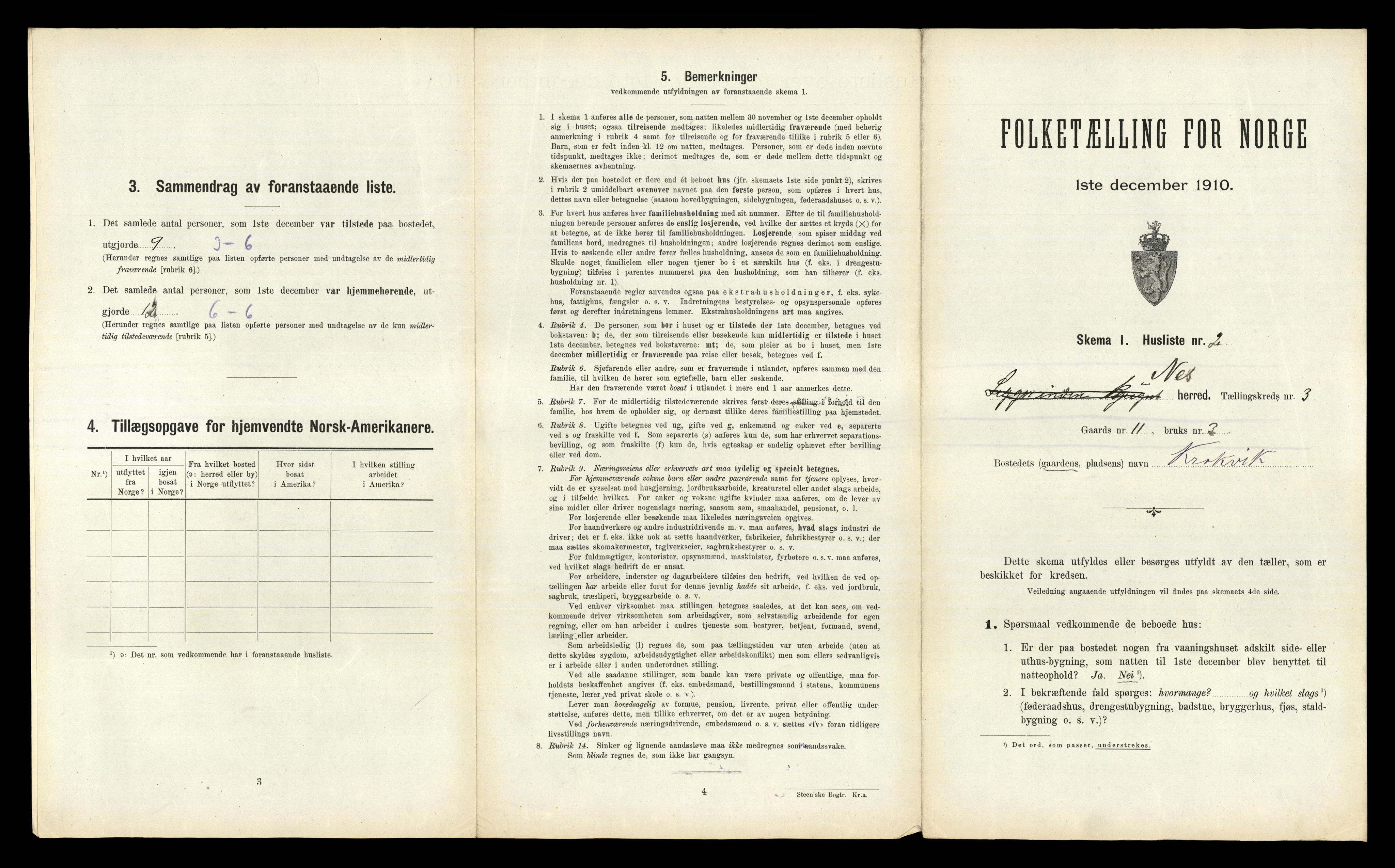 RA, 1910 census for Nes, 1910, p. 319