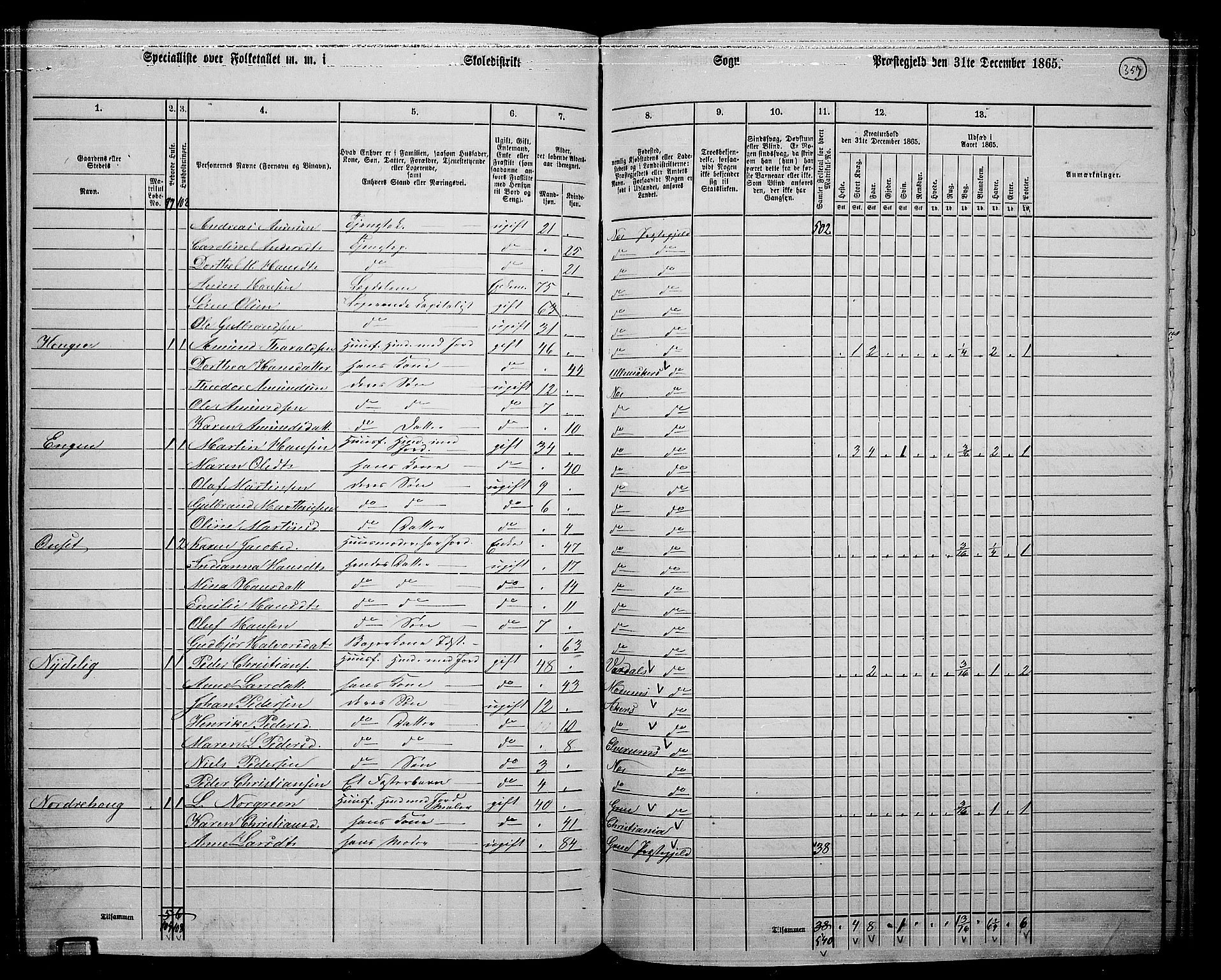 RA, 1865 census for Nes, 1865, p. 328