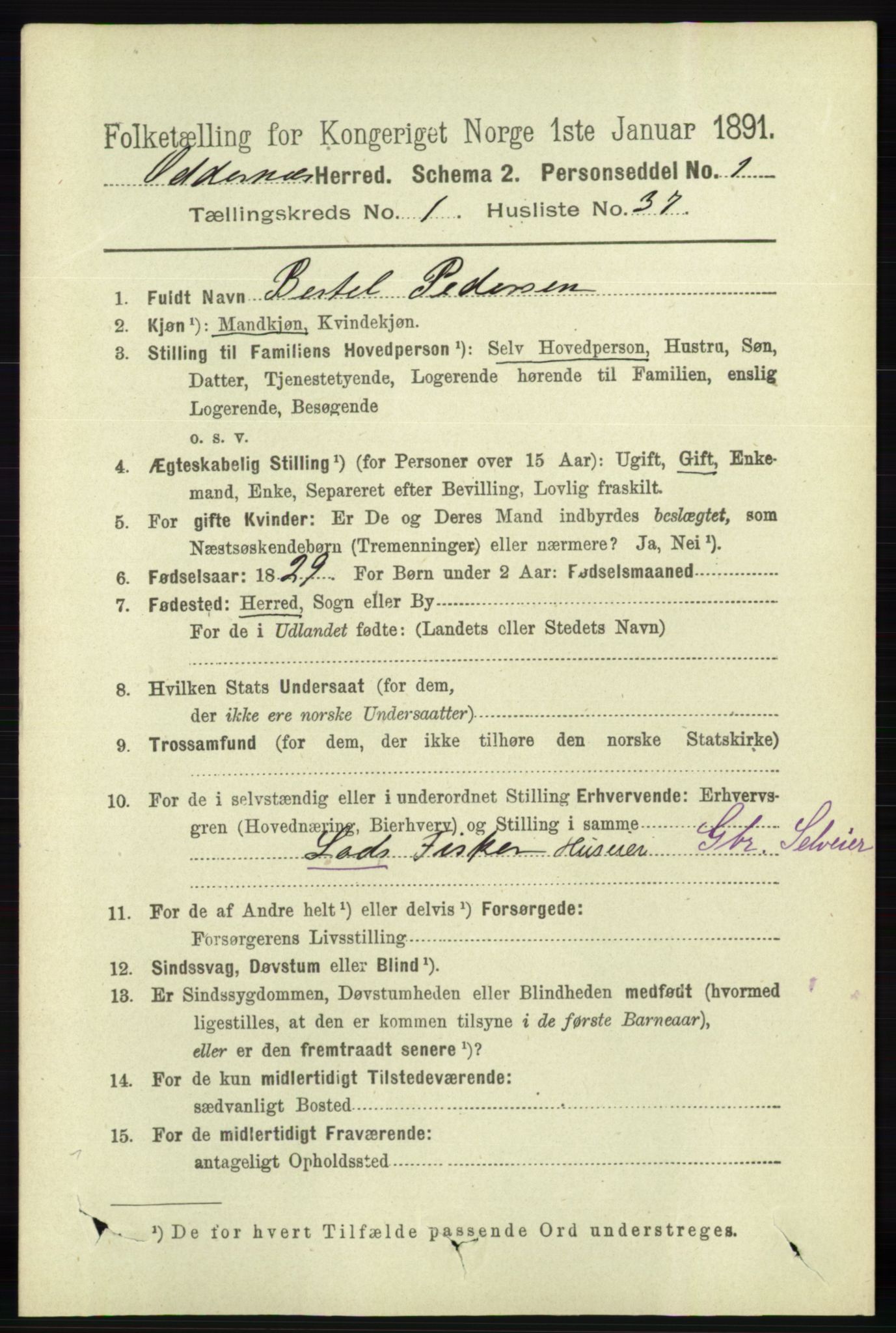 RA, 1891 census for 1012 Oddernes, 1891, p. 309