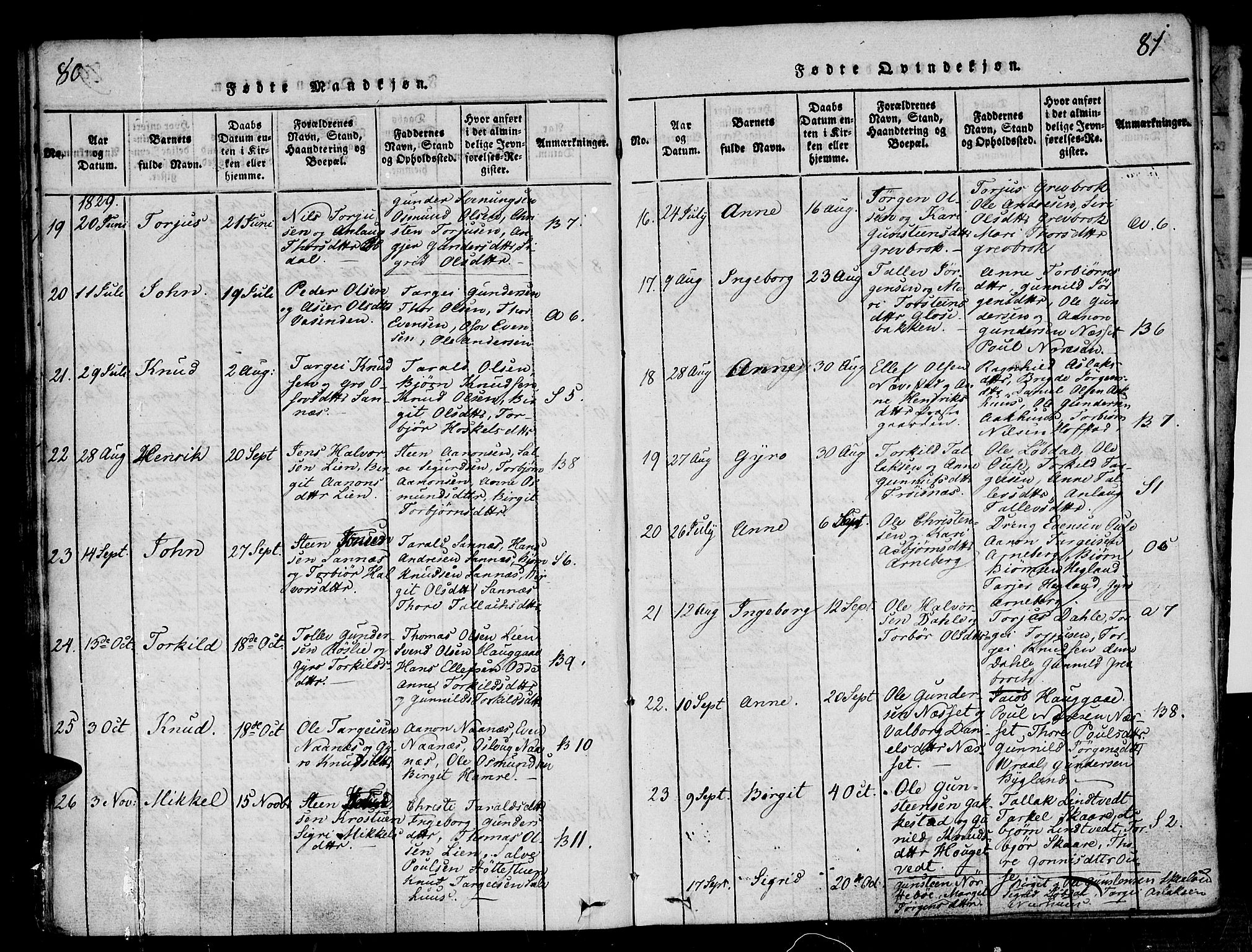 Bygland sokneprestkontor, AV/SAK-1111-0006/F/Fa/Fab/L0003: Parish register (official) no. A 3, 1816-1841, p. 80-81