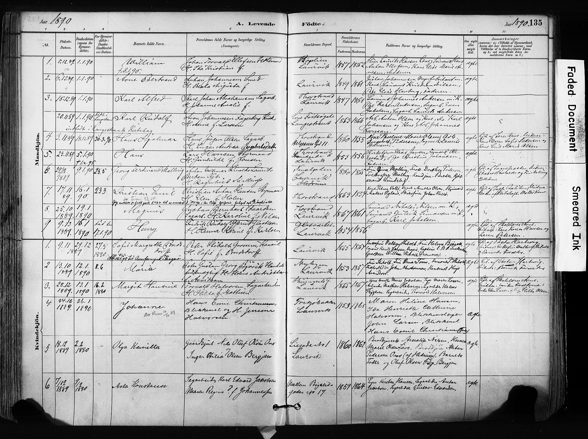 Larvik kirkebøker, AV/SAKO-A-352/F/Fa/L0009: Parish register (official) no. I 9, 1884-1904, p. 135