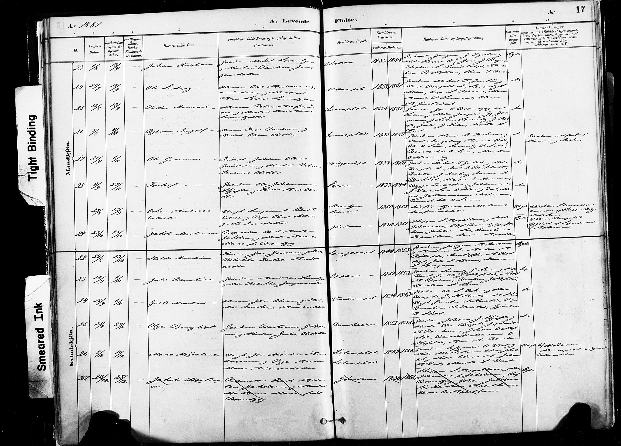 Ministerialprotokoller, klokkerbøker og fødselsregistre - Nord-Trøndelag, SAT/A-1458/735/L0351: Parish register (official) no. 735A10, 1884-1908, p. 17