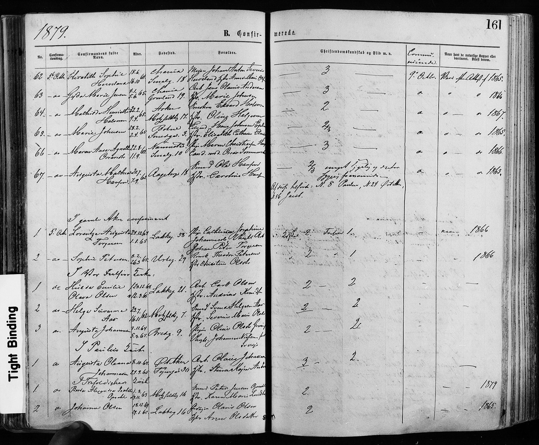 Grønland prestekontor Kirkebøker, AV/SAO-A-10848/F/Fa/L0005: Parish register (official) no. 5, 1869-1880, p. 161