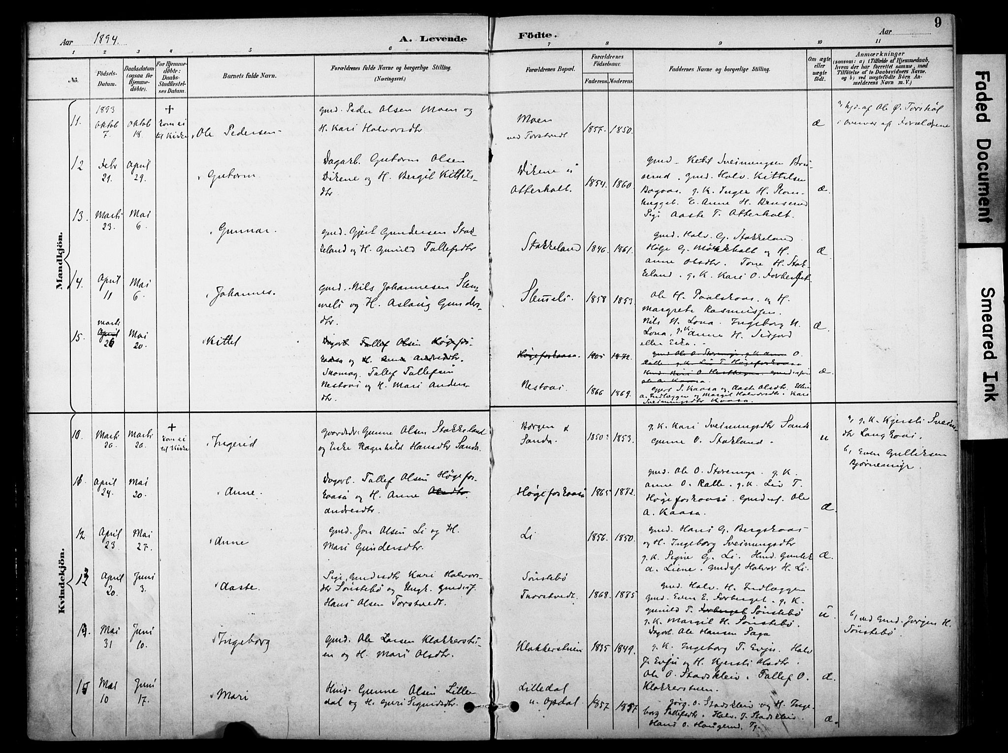 Bø kirkebøker, AV/SAKO-A-257/F/Fa/L0011: Parish register (official) no. 11, 1892-1900, p. 9