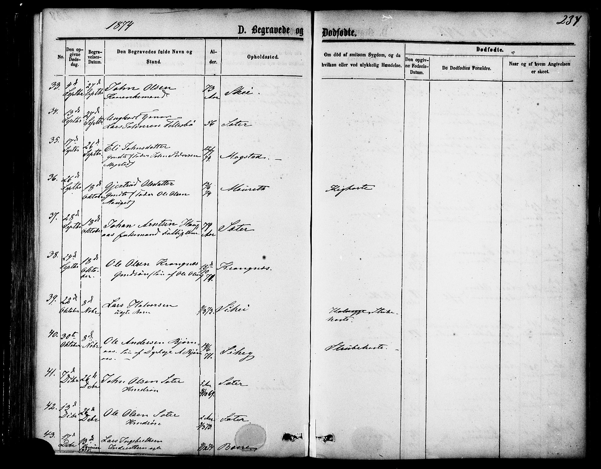 Ministerialprotokoller, klokkerbøker og fødselsregistre - Møre og Romsdal, AV/SAT-A-1454/595/L1046: Parish register (official) no. 595A08, 1874-1884, p. 234