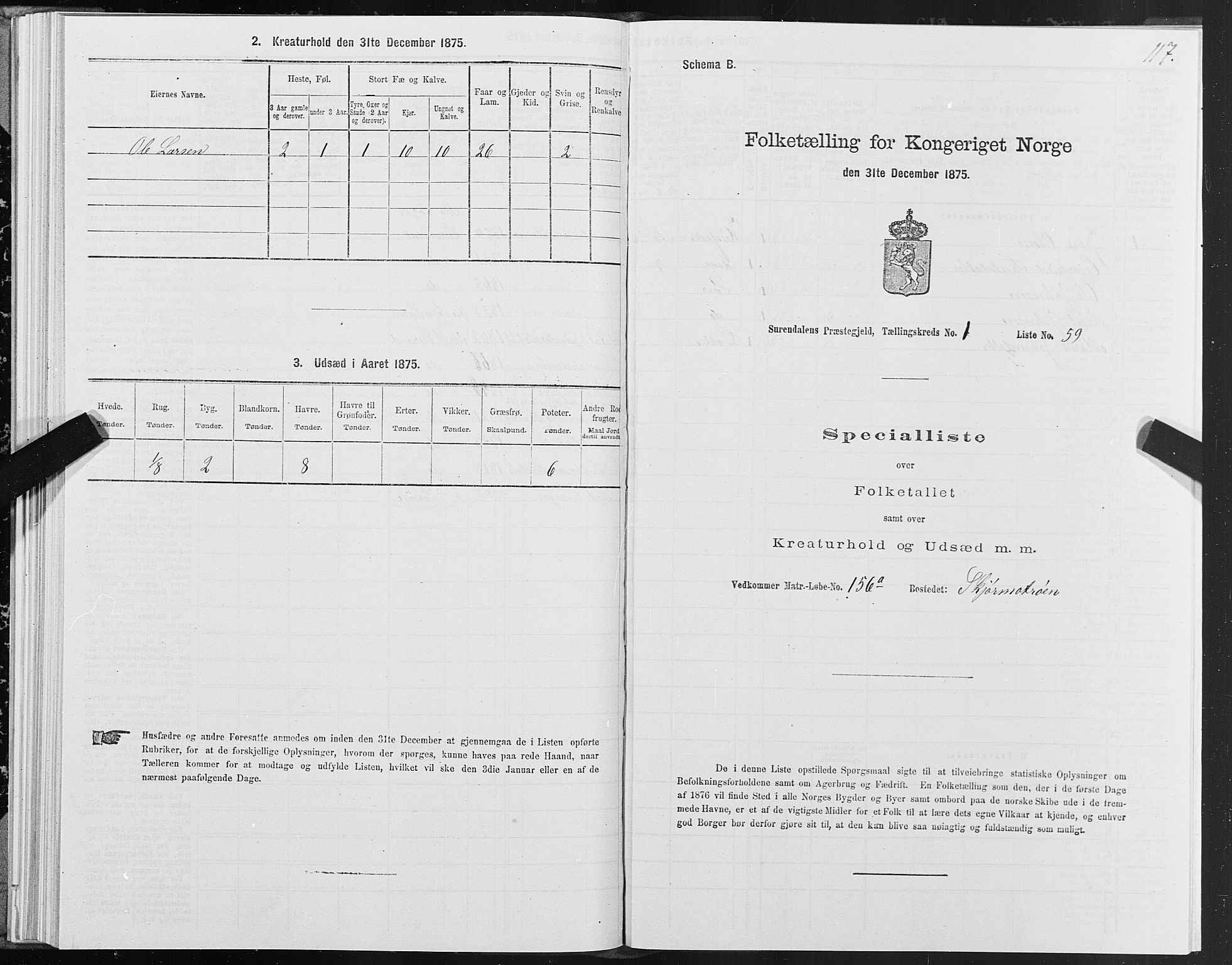 SAT, 1875 census for 1566P Surnadal, 1875, p. 1117