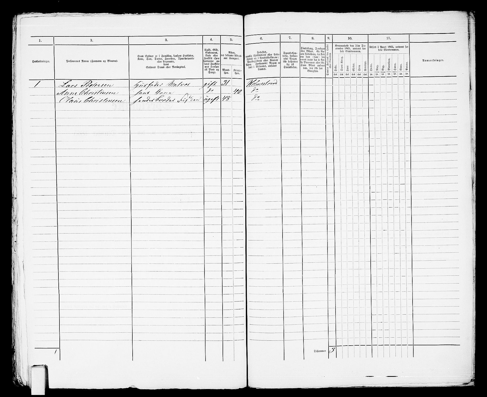 RA, 1865 census for Botne/Holmestrand, 1865, p. 424