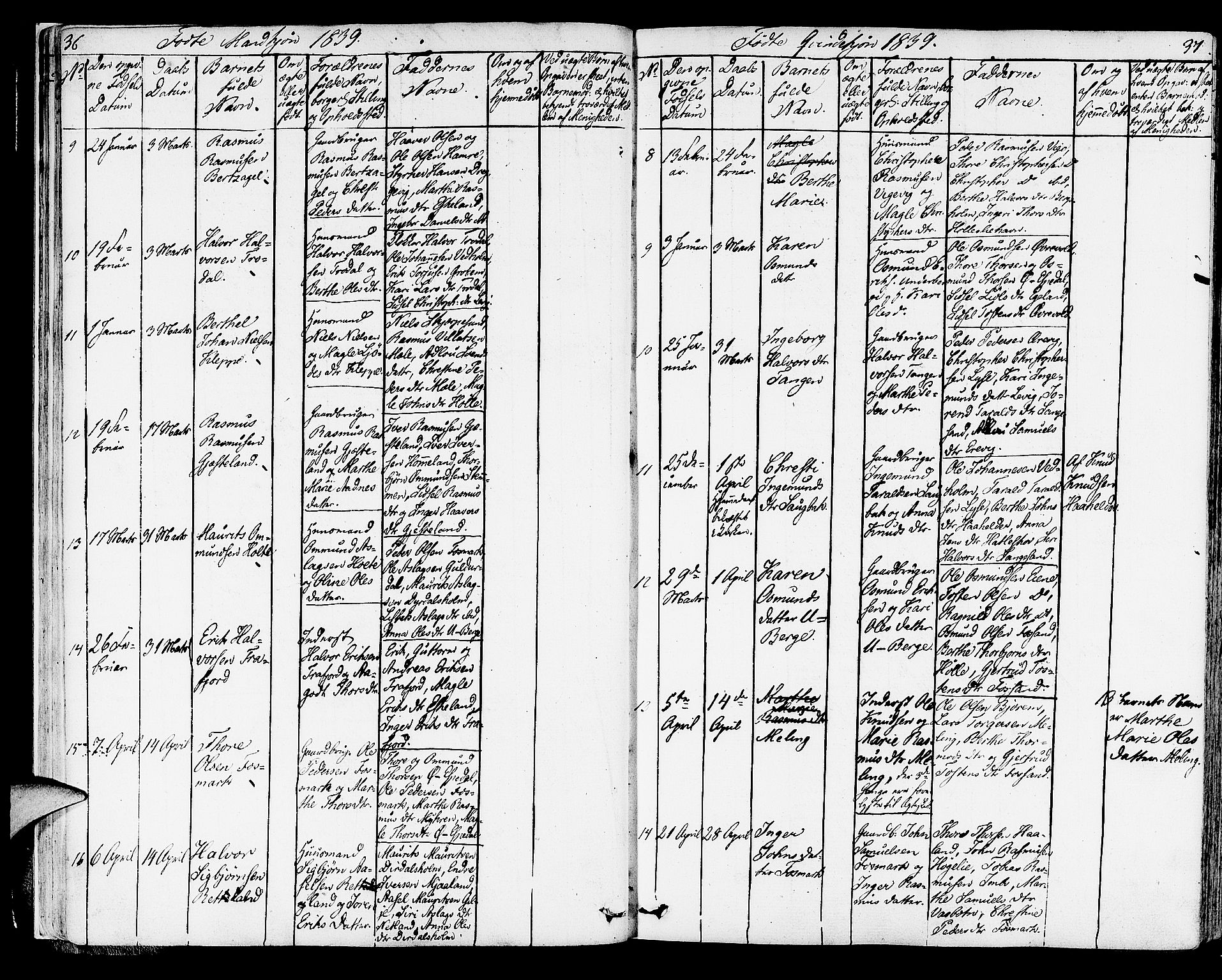 Strand sokneprestkontor, AV/SAST-A-101828/H/Ha/Haa/L0005: Parish register (official) no. A 5, 1833-1854, p. 36-37