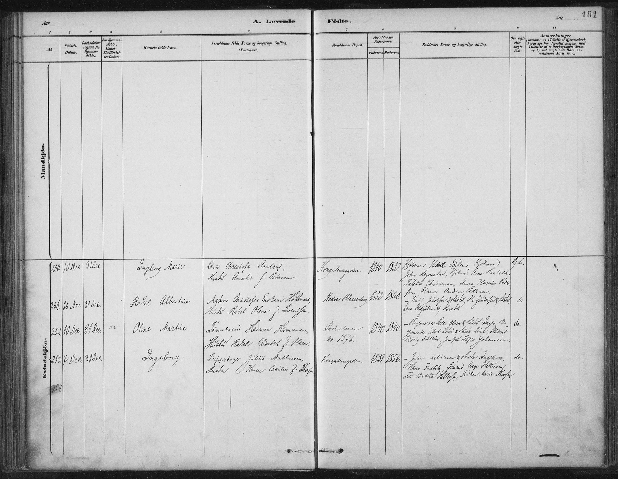 St. Petri sokneprestkontor, AV/SAST-A-101813/001/30/30BB/L0004: Parish register (copy) no. B 4, 1878-1890, p. 181